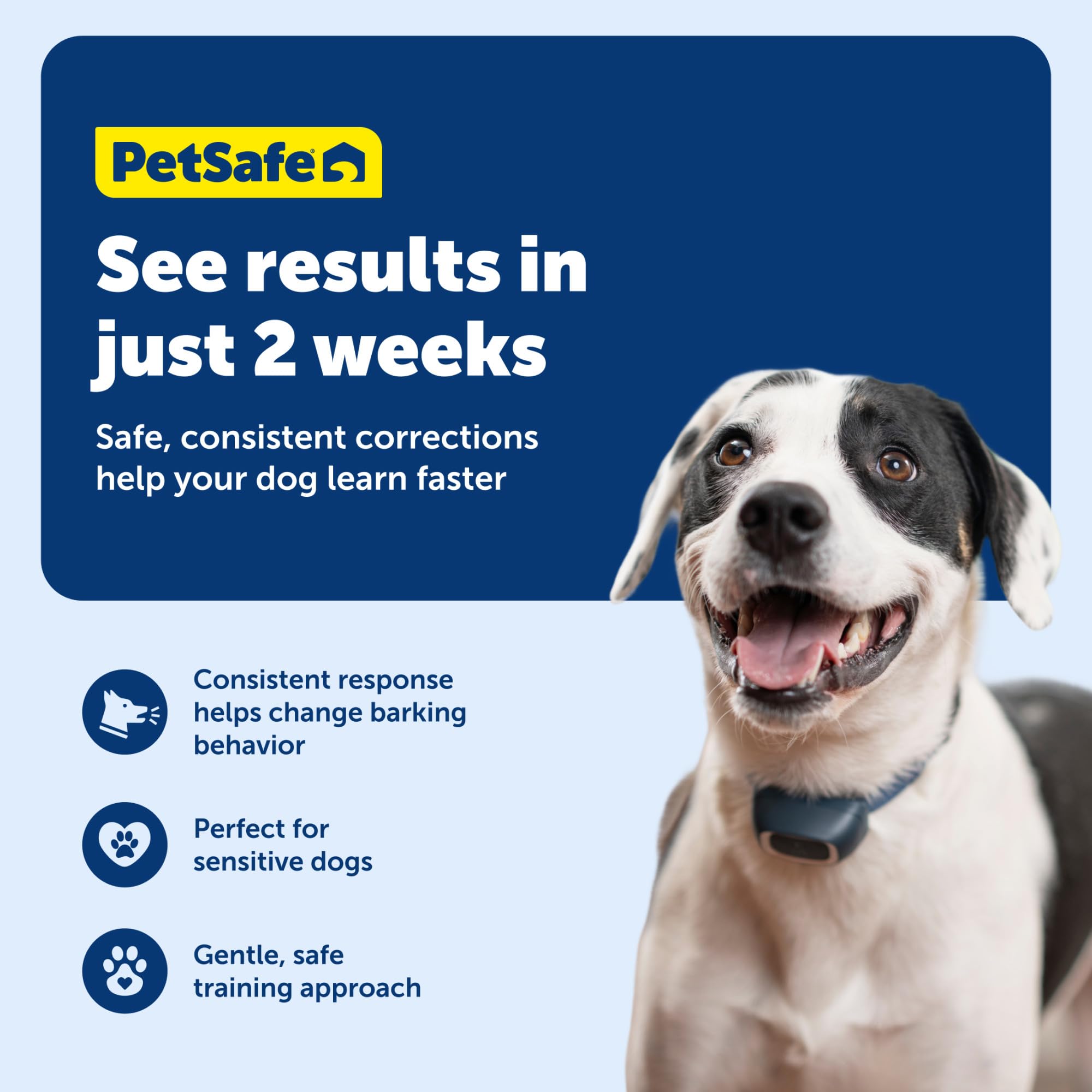 Amazon | PetSafe（ペットセーフ）無駄吠えしつけ首輪 小型犬用バーク