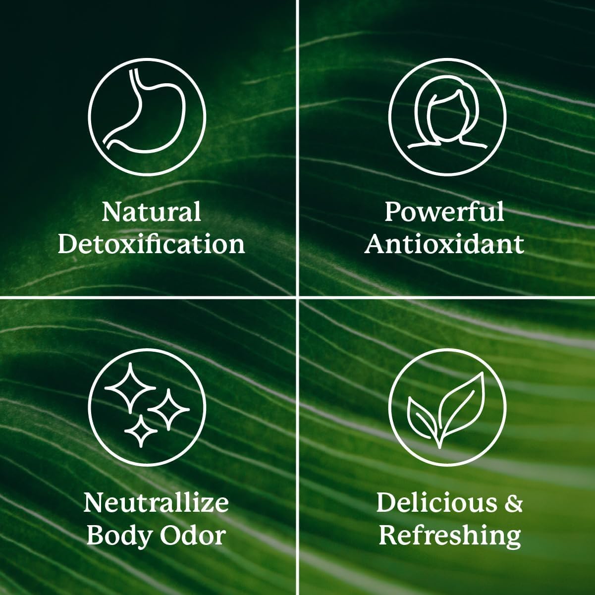 Nature's Sunshine Chlorophyll Stick Pack Variety Bundle (120 to-Go Sticks) – Delicious Detox & Gut Health Support in Convenient Stick Packs (Lime Twist, Crisp Apple, Spearmint & Sweet Melon)