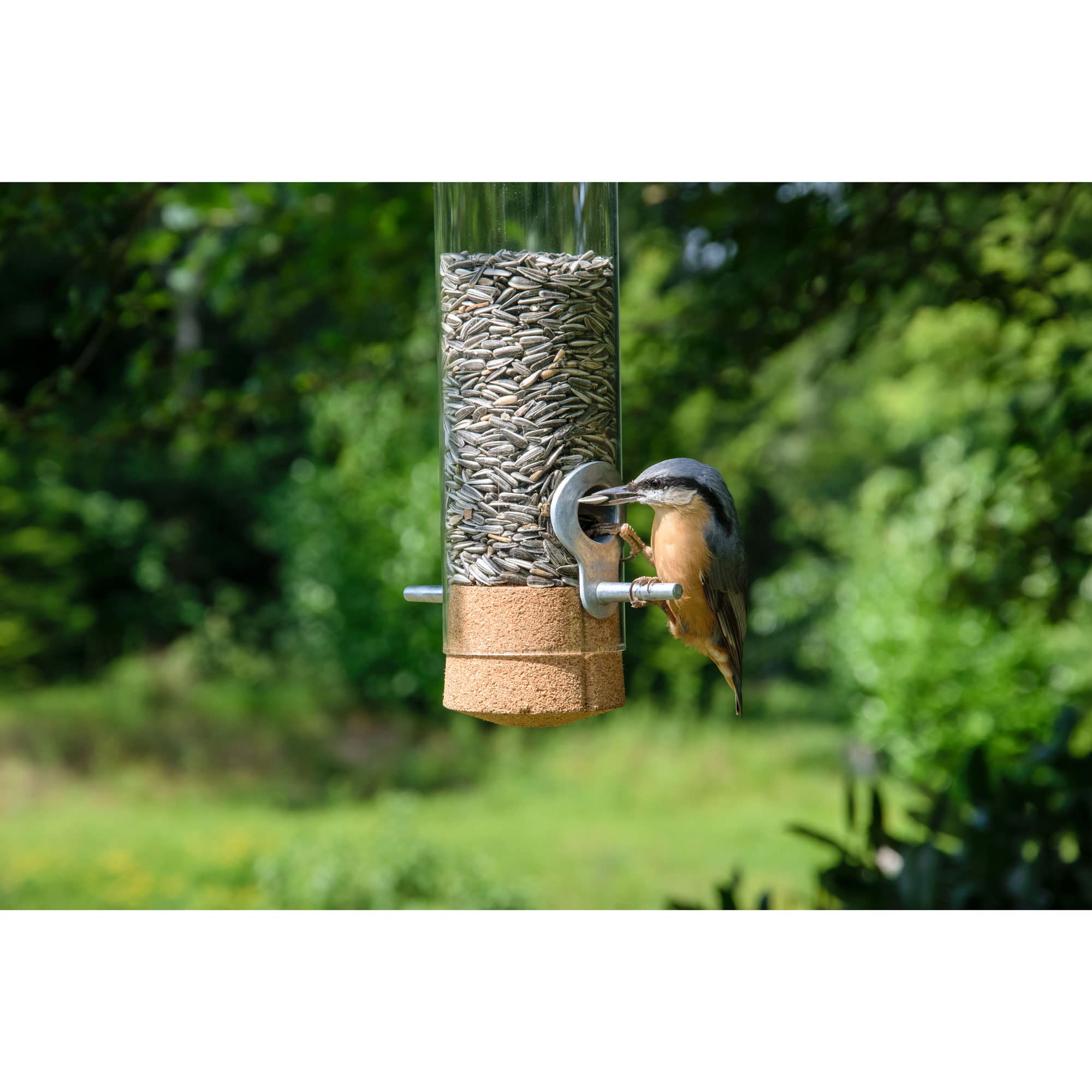 dobar® Premium Design Vogelfuttersäule Echtglas-Pickbar - Futterspender zum Hängen - Wildvogelfutterautomat mit Lederkordel - Futterstation für Wildvögel - Ø 9 x 33 cm - Transparent