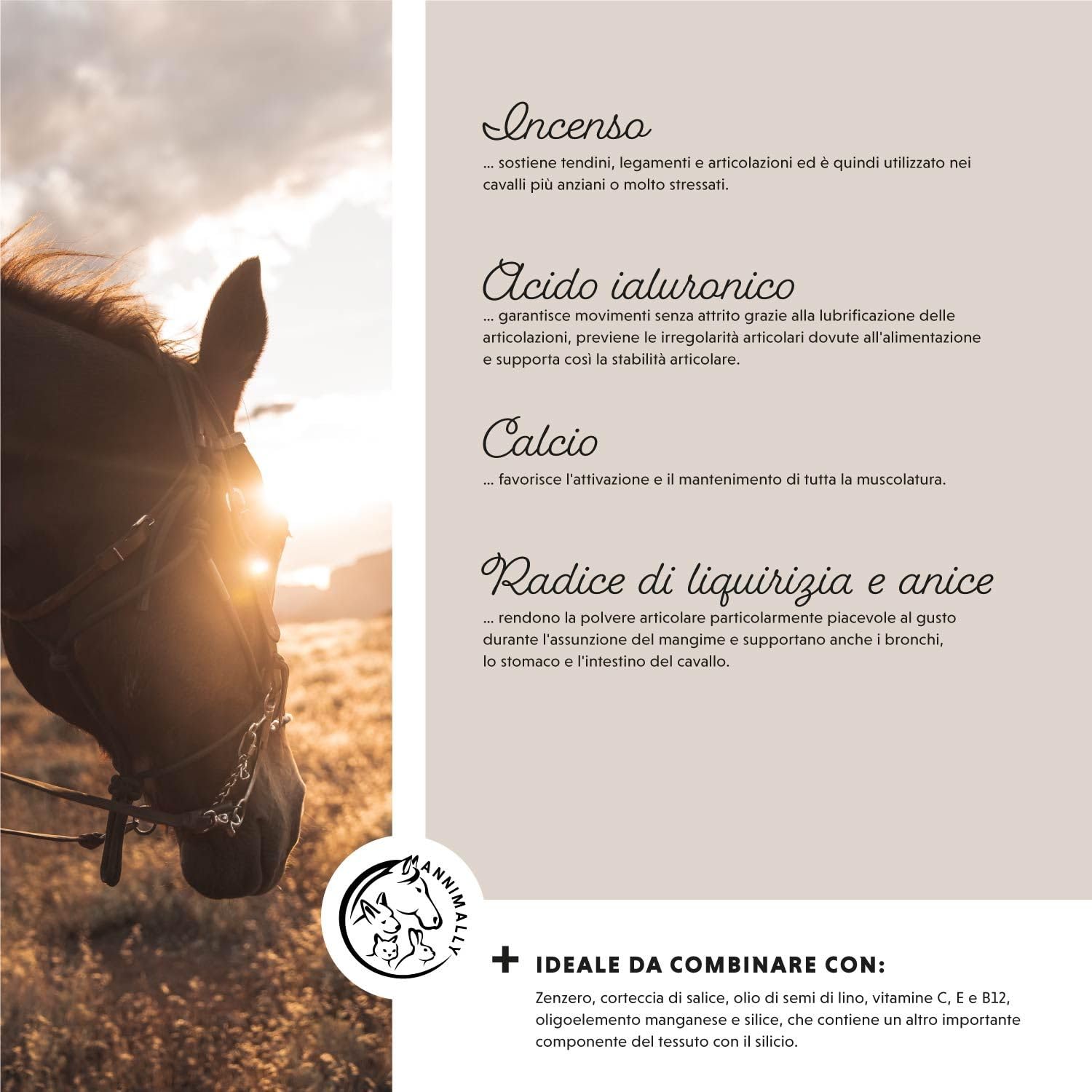 Polvere per le articolazioni dei cavalli 850g con artiglio del diavolo cavallo, MSM cavallo (Zolfo), Glucosamina e Condroitina - Msm integratore cavalli per il Rafforzamento delle Articolazi