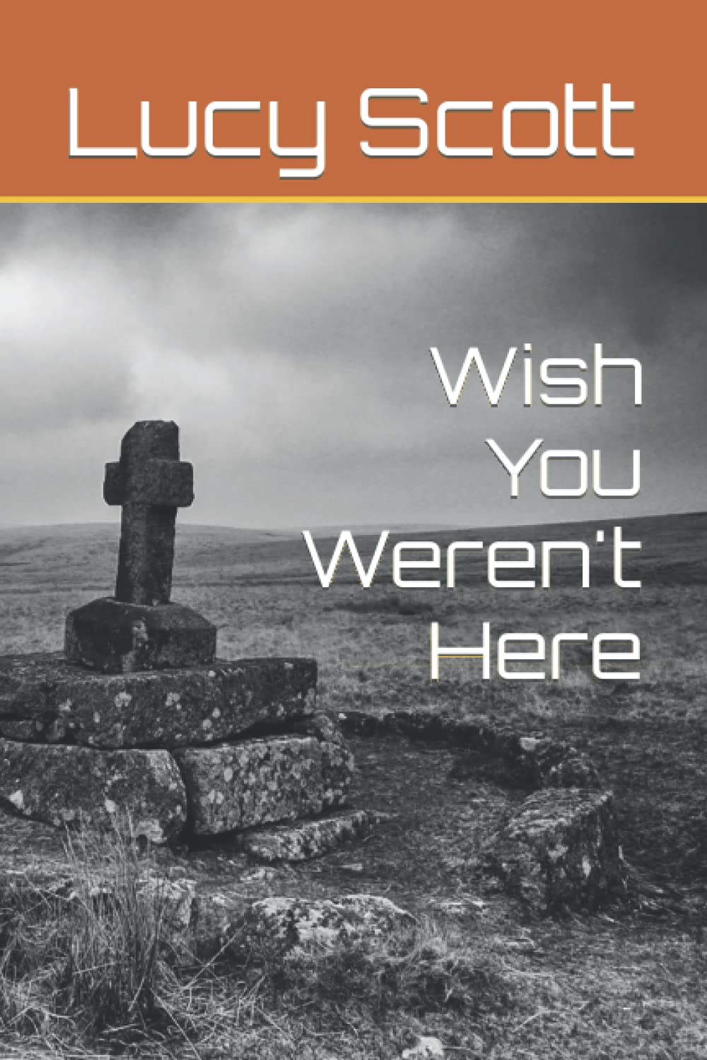 Wish You Weren't Here (The Alexis Longbow Murder Mysteries)