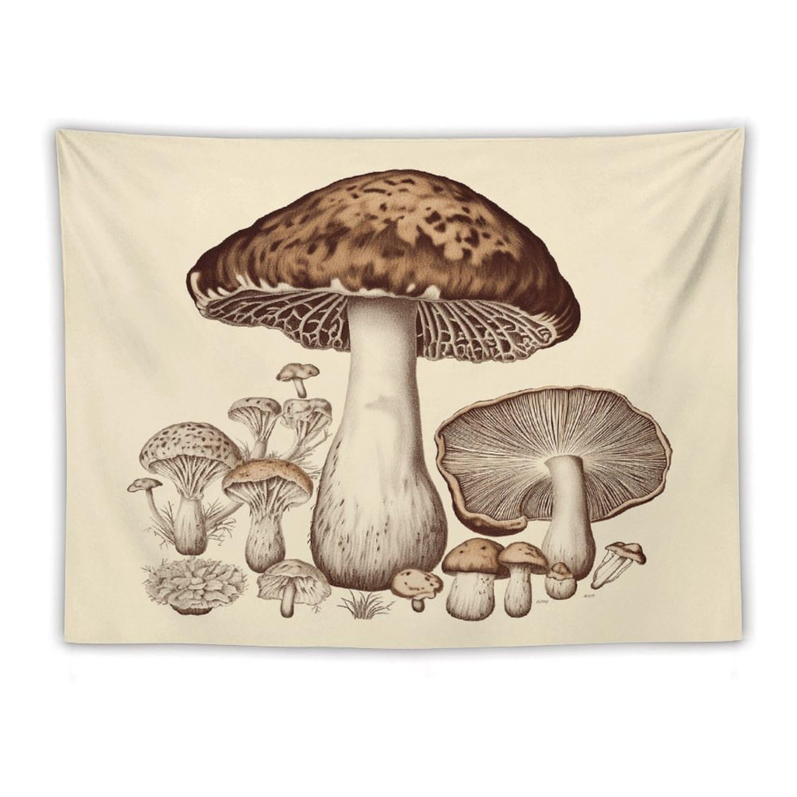 LDGSUPH Vintage Mushrooms Drawing Tapestry Wall Hanging Decor Anti-fading Aesthetic Wall Tapestries Fashion Wall Blanket Decor Modern Wall Art Tapestry for Bedroom Home Decor 60"x80"