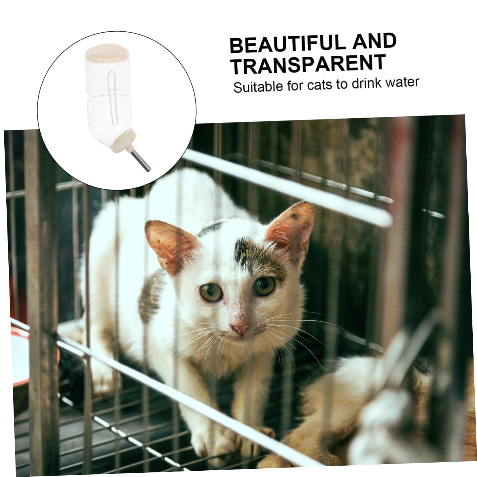 BESPORTBLE 6 Pièces Abreuvoir Lapin Distributeur d'eau pour Animaux Bouteille De Cobaye Bouteille d'eau pour Animaux Récipient à Eau Pratique pour Lapin Biberon Acier Inoxydable Beige