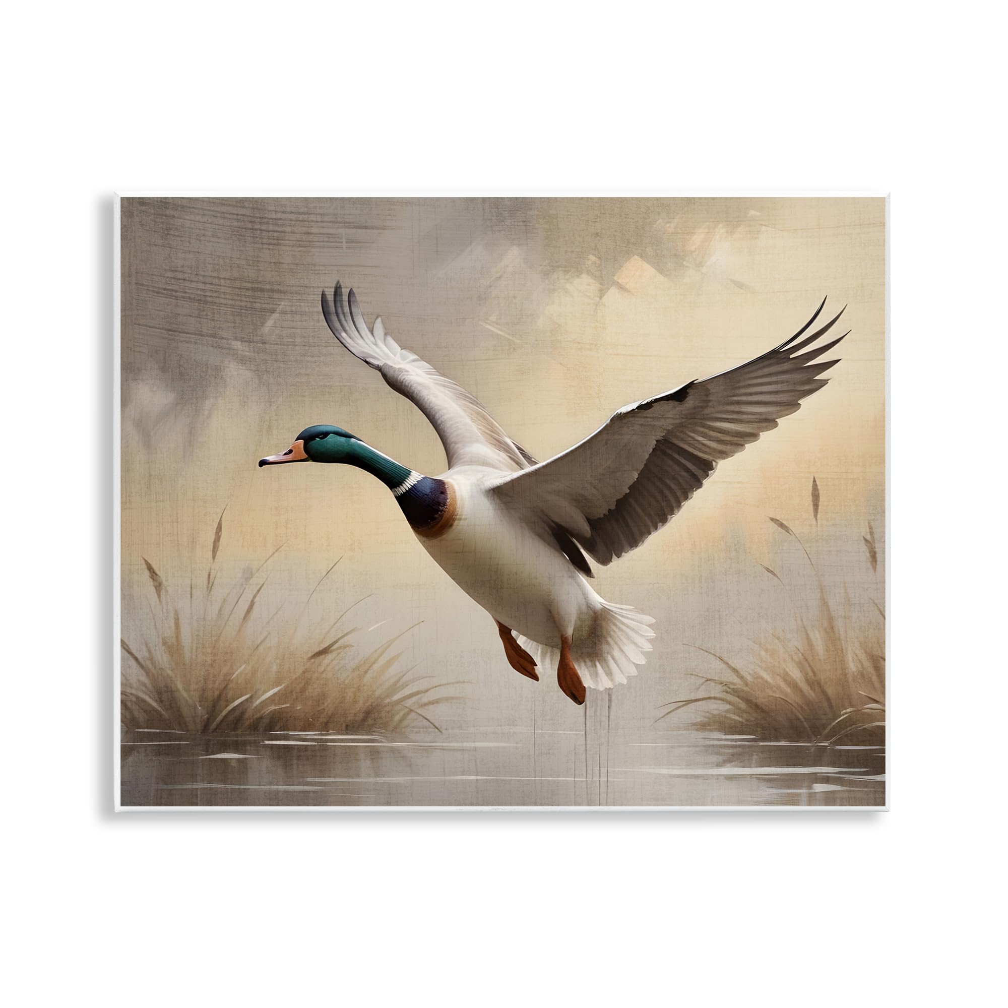 Stupell Industries 'Gliding Mallard over Wetlands', Wall Plaque Art, 14 x 11 Inches, Easy to Hang and Sturdy, Made in USA, by Susan Arnot