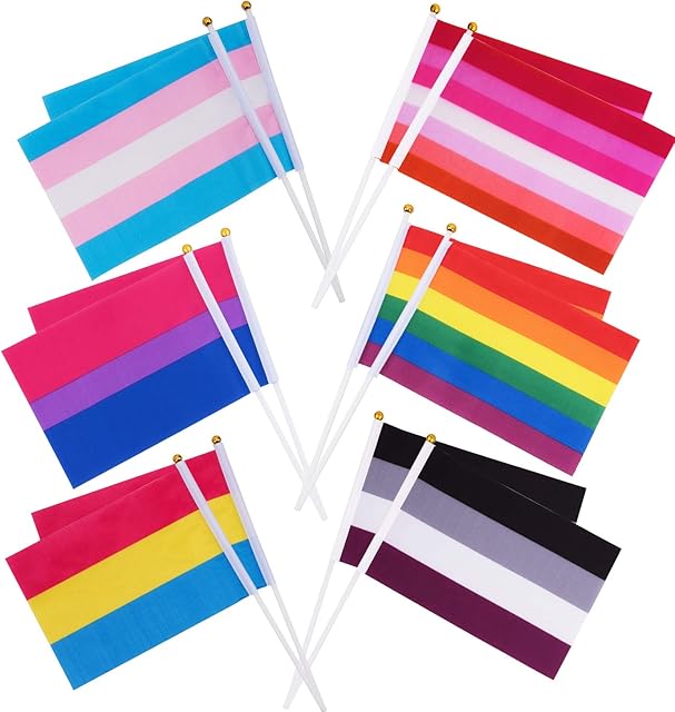 Whaline 60 Pack Rainbow Stick Flags, Gay Pride Small Mini Flags Transgender Asexual Bisexual Pansexual Lesbian Flags LGBT Party Parade Decorations (10 Pieces Each of 6 Patterns)