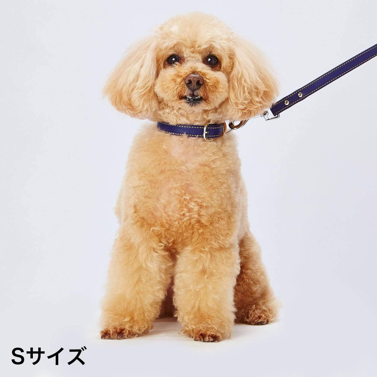 Petio Porta Soft Leather Leash, Small, Navy, Dogs, Small