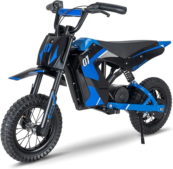 EVERCROSS EV12M 36V Electric Dirt Bike,300W Motor, 25 km/h & 15 km Range Electric Motorcycle, 3