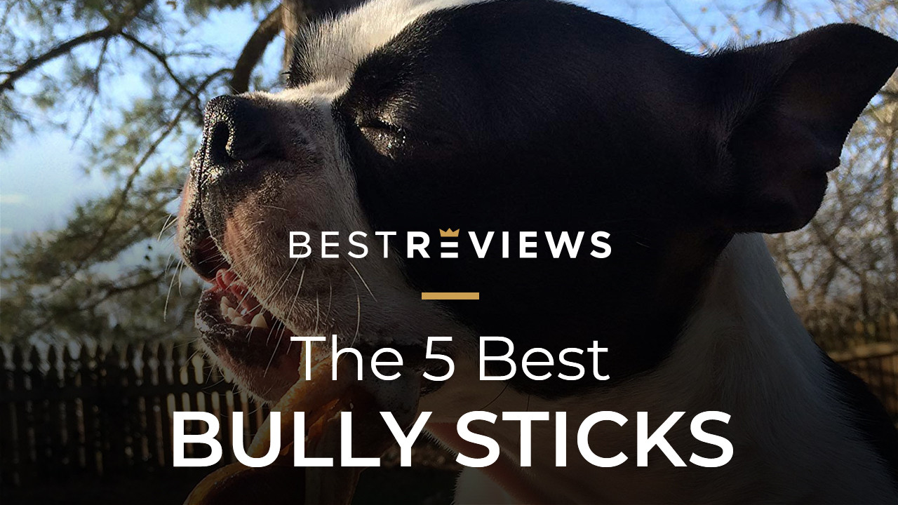 best bully