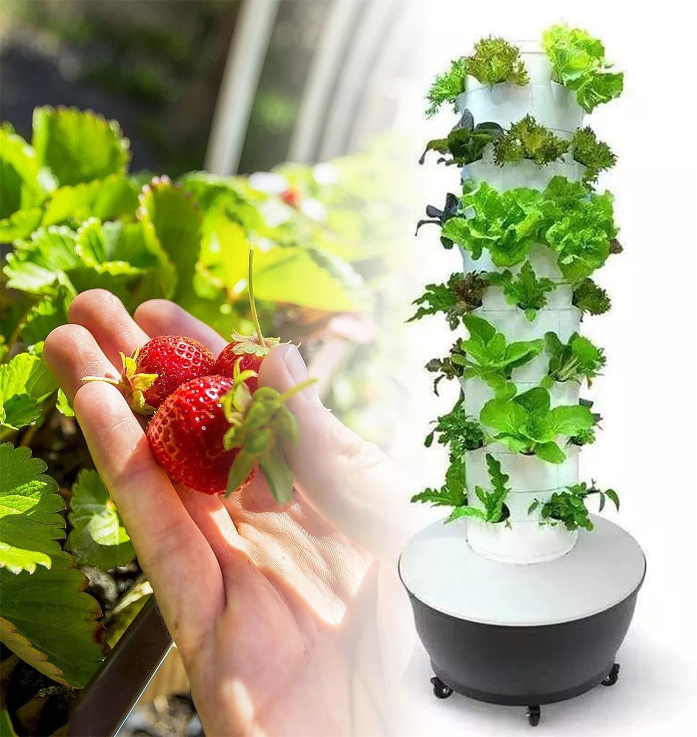 Hydroponic Growing Kits Indoor Hydroponics Growing Tower ｜6 Floor 36 Pods Garden Hydroponic Growing System with Pump ｜ Garden Germination Kit for Herbs, Fruits and Vegetables