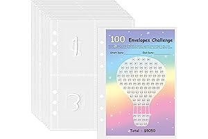 100 Cash Stuffing Envelopes, Money Saving Challenge Binder