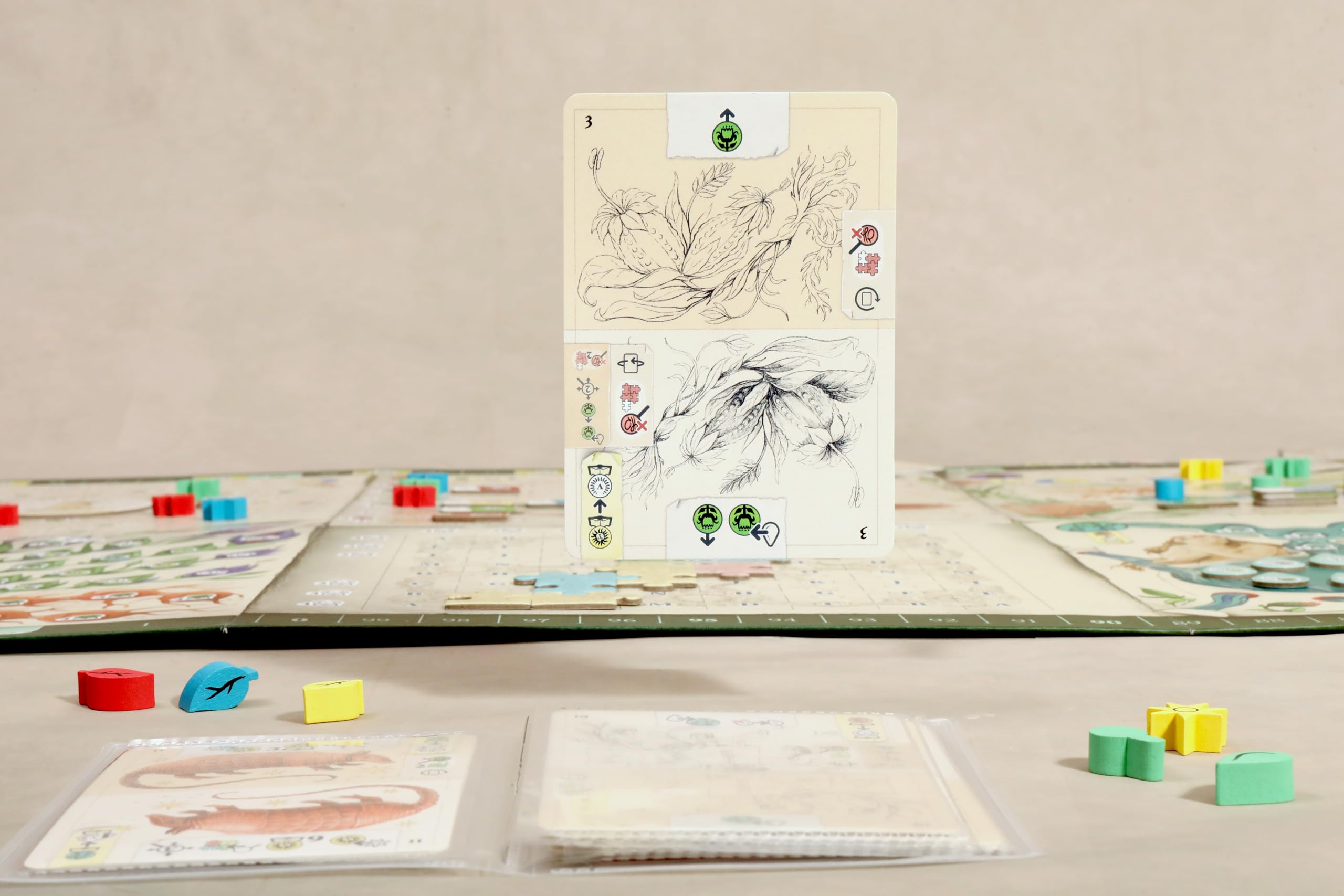 Salt and Pepper | The Voynich Puzzle | Jeu De Société Stratégique, Jeu Autonome avec Mystère Manuscrit, Mécanique De Livre Et Voies De Connaissance | 1-4 Joueurs | 90-120 Minutes