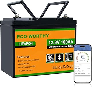 ECO-WORTHY 12V 100Ah LiFePO4 Bluetooth mit BMS Low Temperature Schutz,1280Wh Lithium Batterie 12V 100Ah Autobatterie für Wohnmobil,Wohnwagen,CB IEC 62619