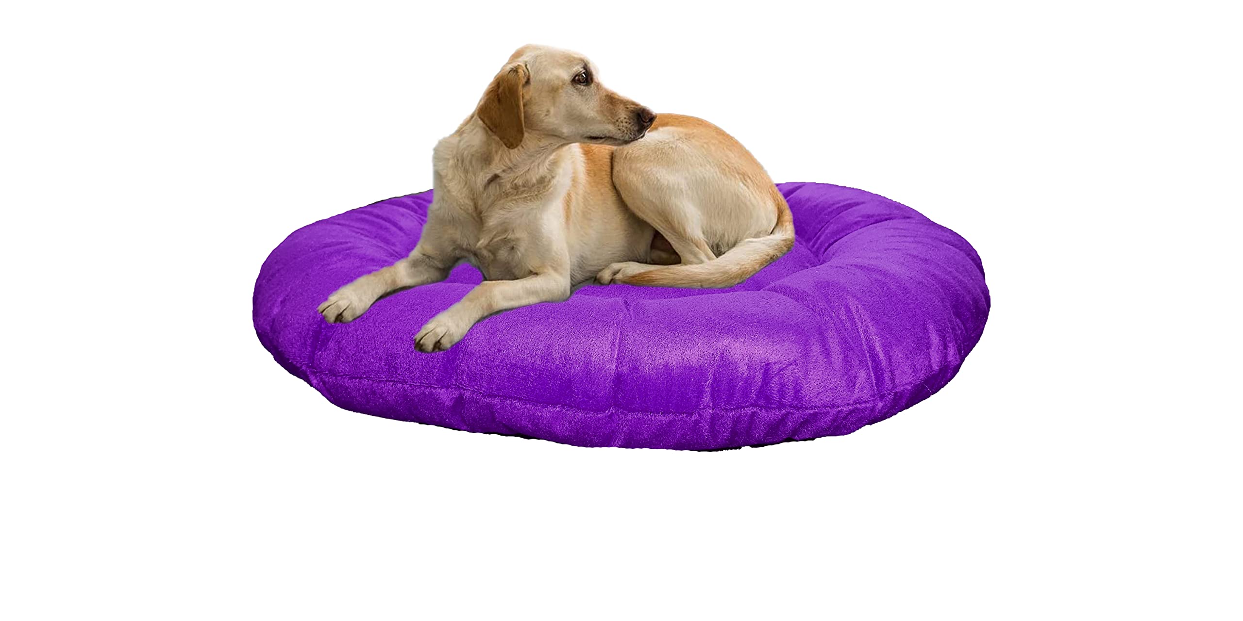 Poofys Pet Island Dog Pillow Round Shape Large Size for Large Dog and Cat Purple Color Ultra Soft Velvet Fabric Polyester Fill Dog Bed Pet, Animal, Cat, Puppy and Kitten Pillow (B0BYDD86CY) Amazon Price History, Amazon Price Tracker