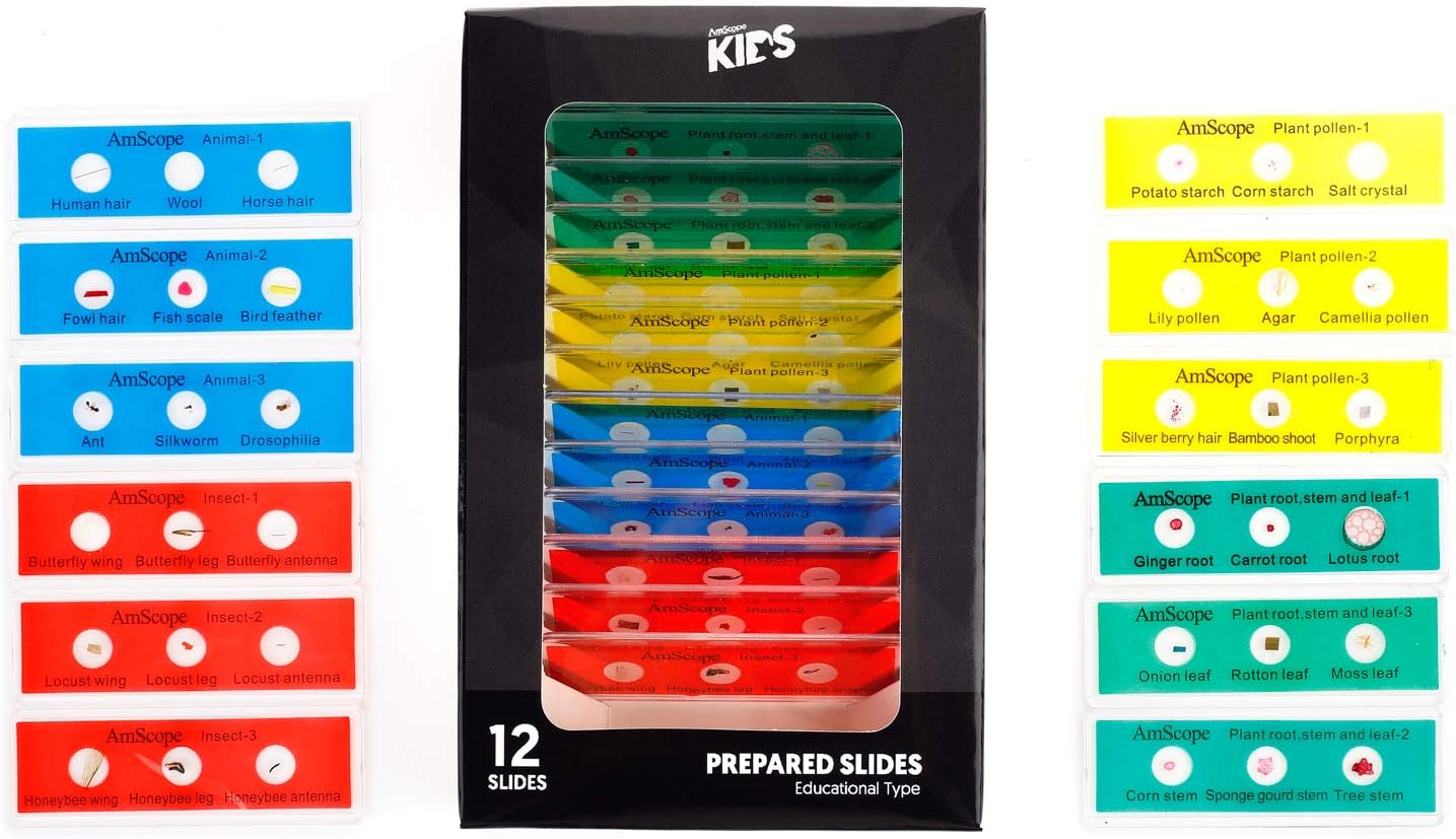 36pc Kids Prepared Microscope Slide Set of Color-Coded Zoological and Botanical Prepared Specimen Slides -PS-P12X3-A