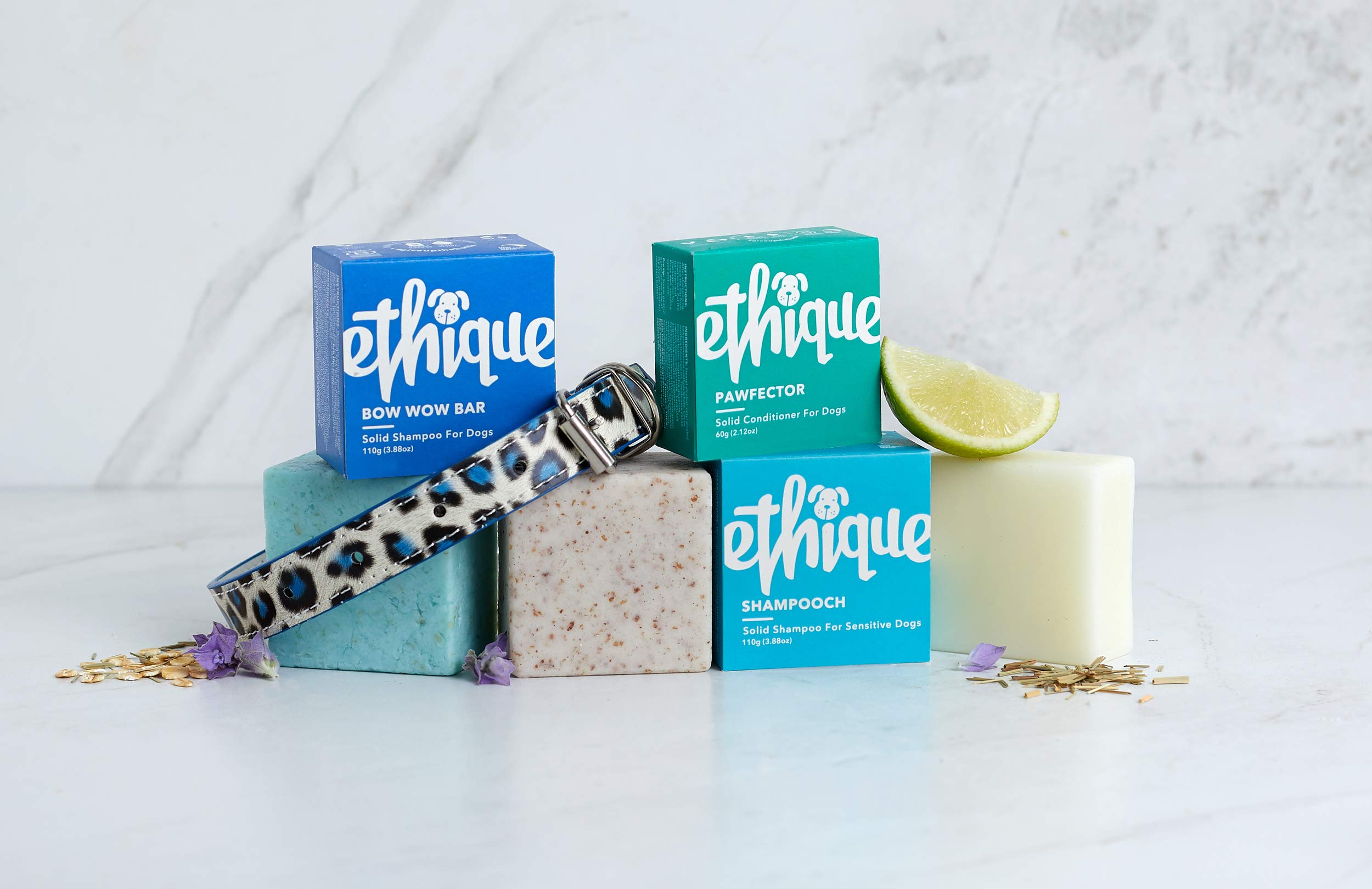 ethique dog shampoo