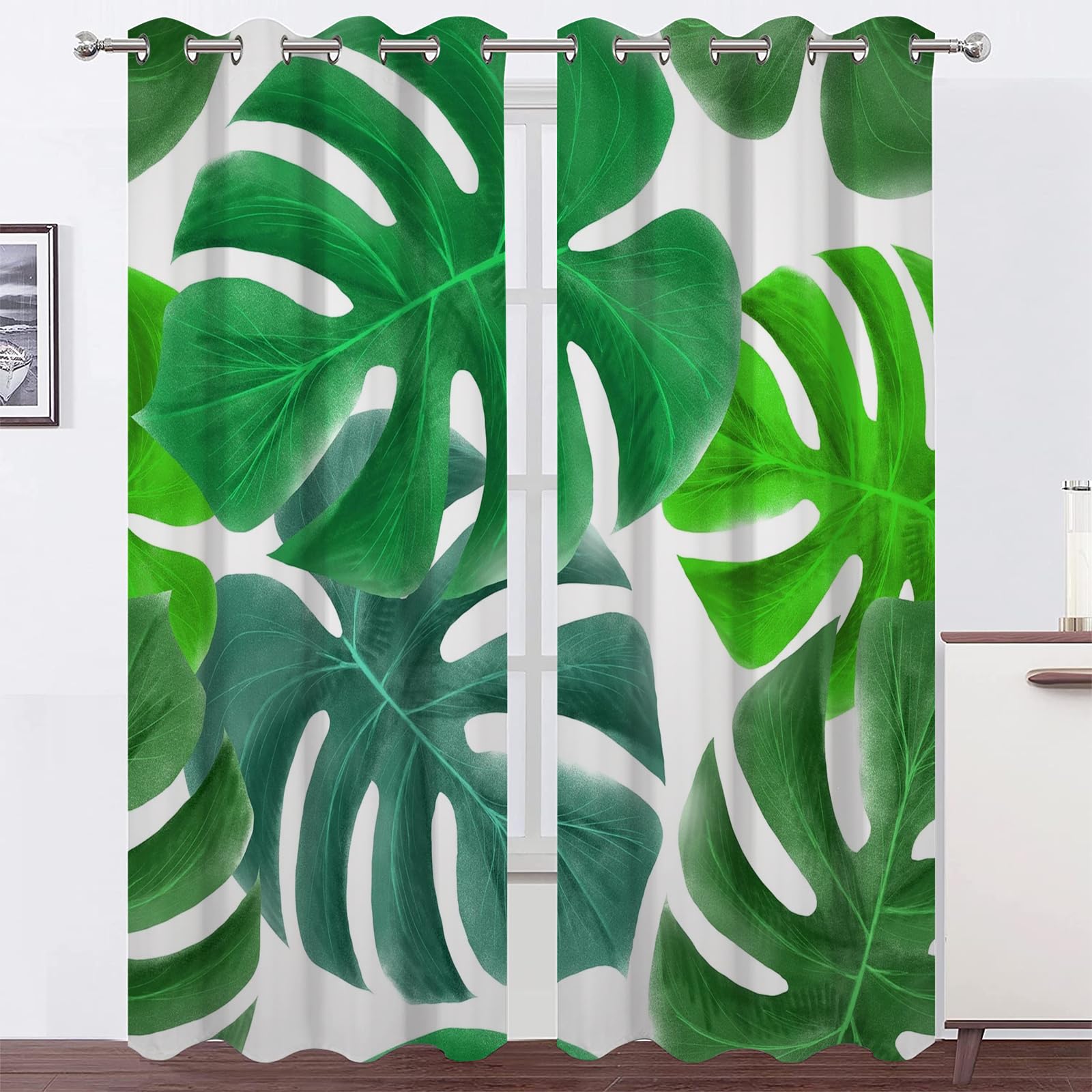 monstera adansonii cura Monstera adansonii