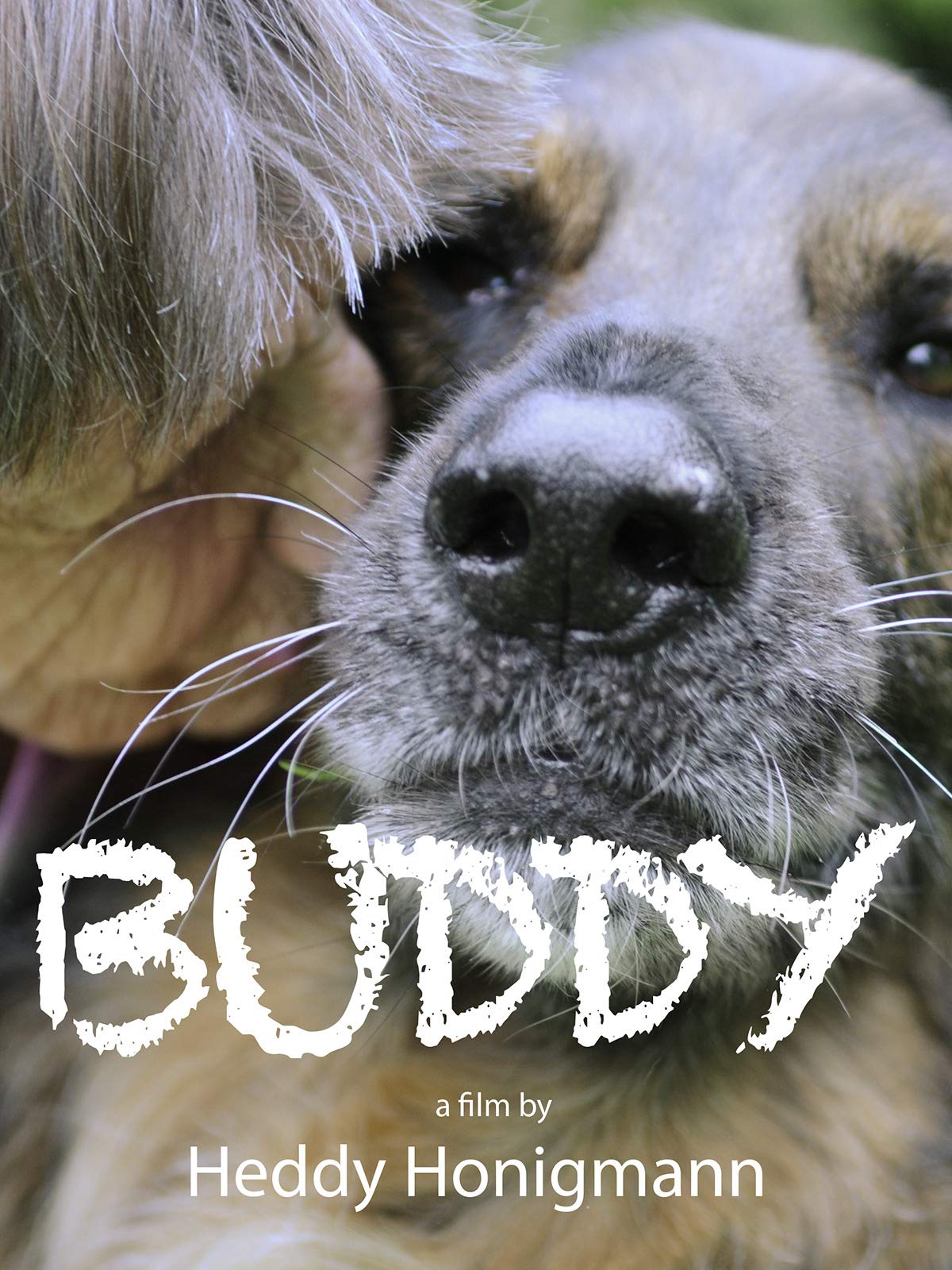 Buddy