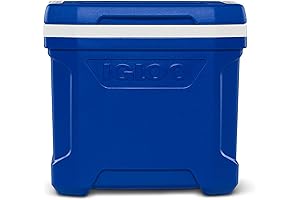 Profile Hardsided Insulated Lunch Cooler igloo cube cooler 16 Qt Blue