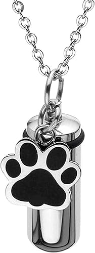 OIJH Urna Cremación Recuerdo Cenizas Urnsurn Acero Inoxidable Cremación Cachorro Perro Perra Cilindro Contenedor Urna Memorial Colgante Collar