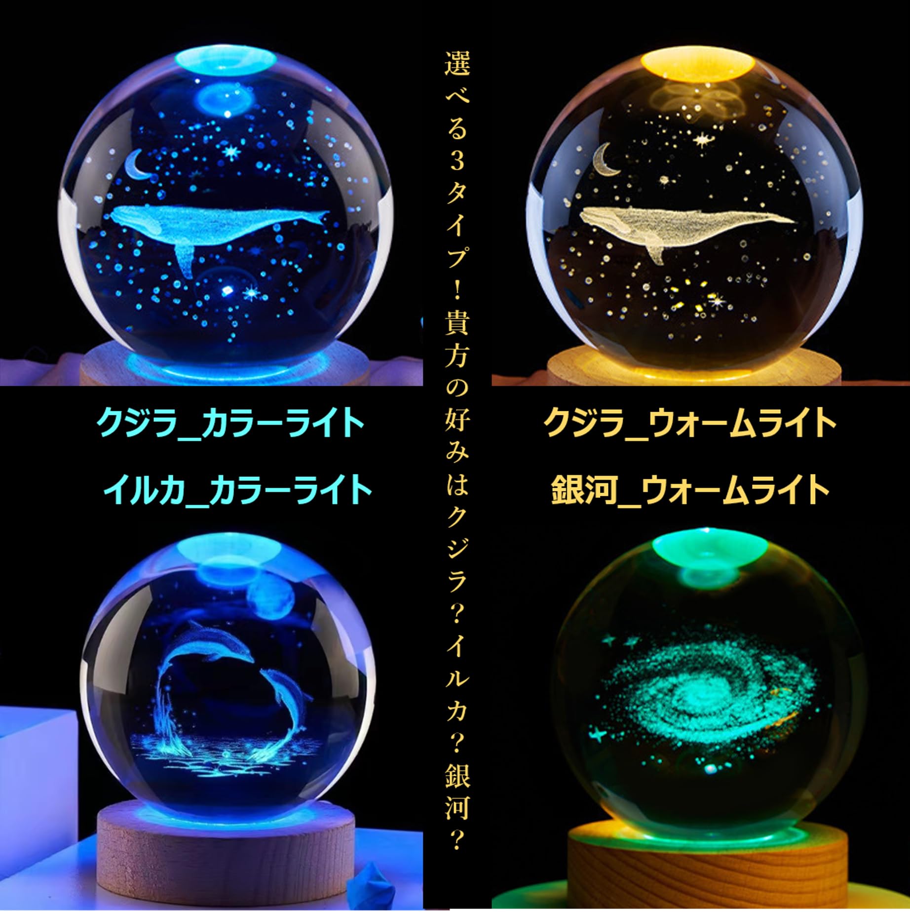 Amazon.co.jp : [YokohamaChildren] クリスタル ボール イルカ いるか 