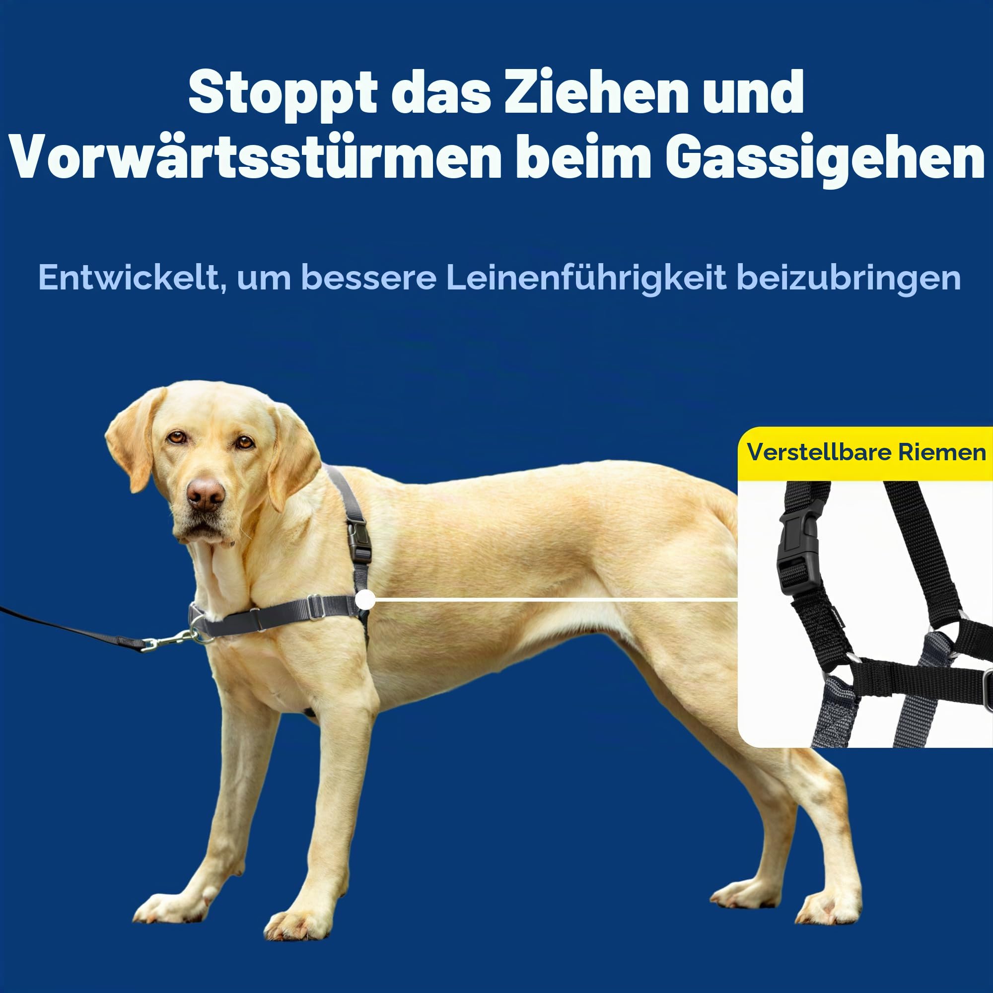 PetSafe, Easy Walk Hundegeschirr, das ultimative Geschirr gegen Ziehen bei Spaziergängen, übernimm die Kontrolle und lehre EIN besseres Leinenverhalten, Large, Dunkelgrau/Schwarz