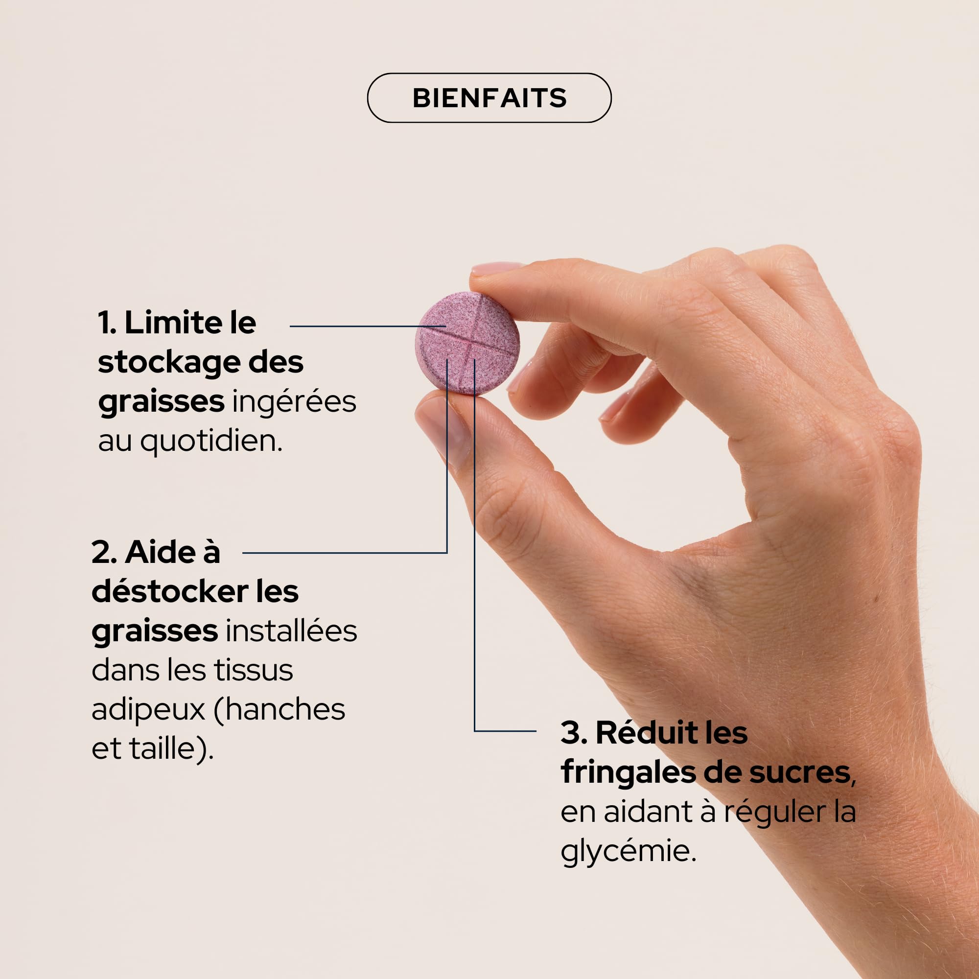EPYCURE - Boost Méta Morosil 400mg Hautement Dosé - 87% Naturel - Équilibre Énergétique - Orange Moro, Cola, Chrome, Choline - Goût Myrtille - 1 Mois - Vegan