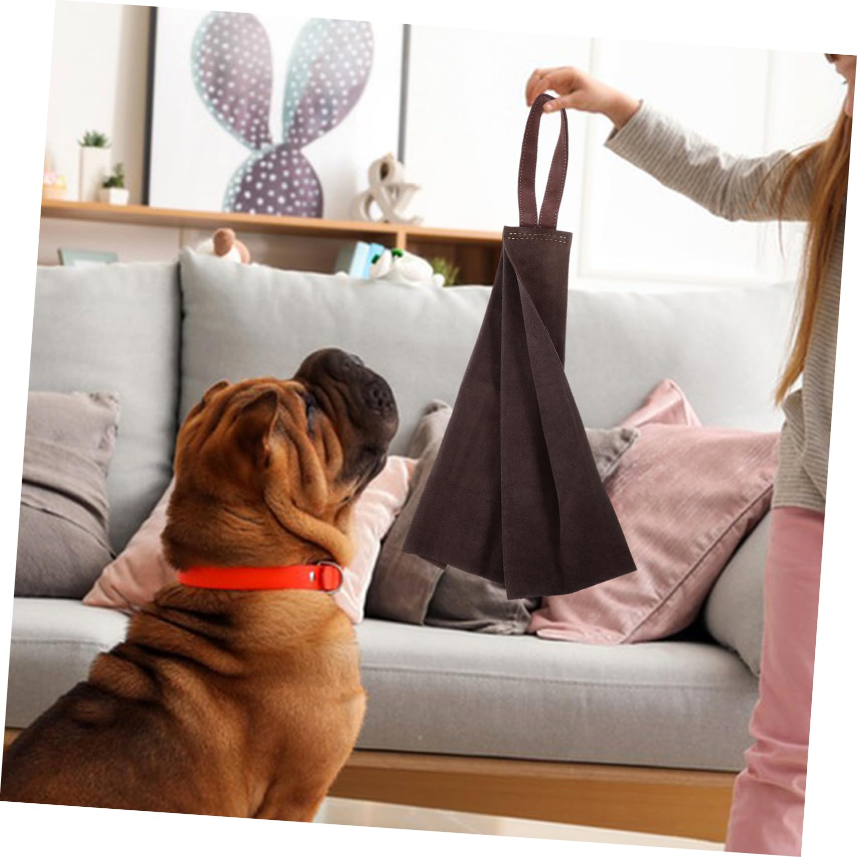 COLLBATH Trapo de Piel Resistente de Entrenamiento para Cachorros