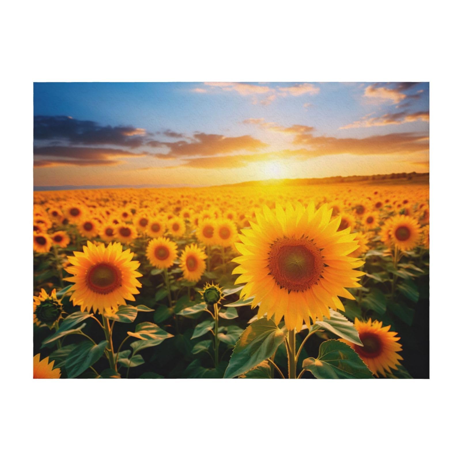 Couverture légère tournesols pour embellir votre salon et lit