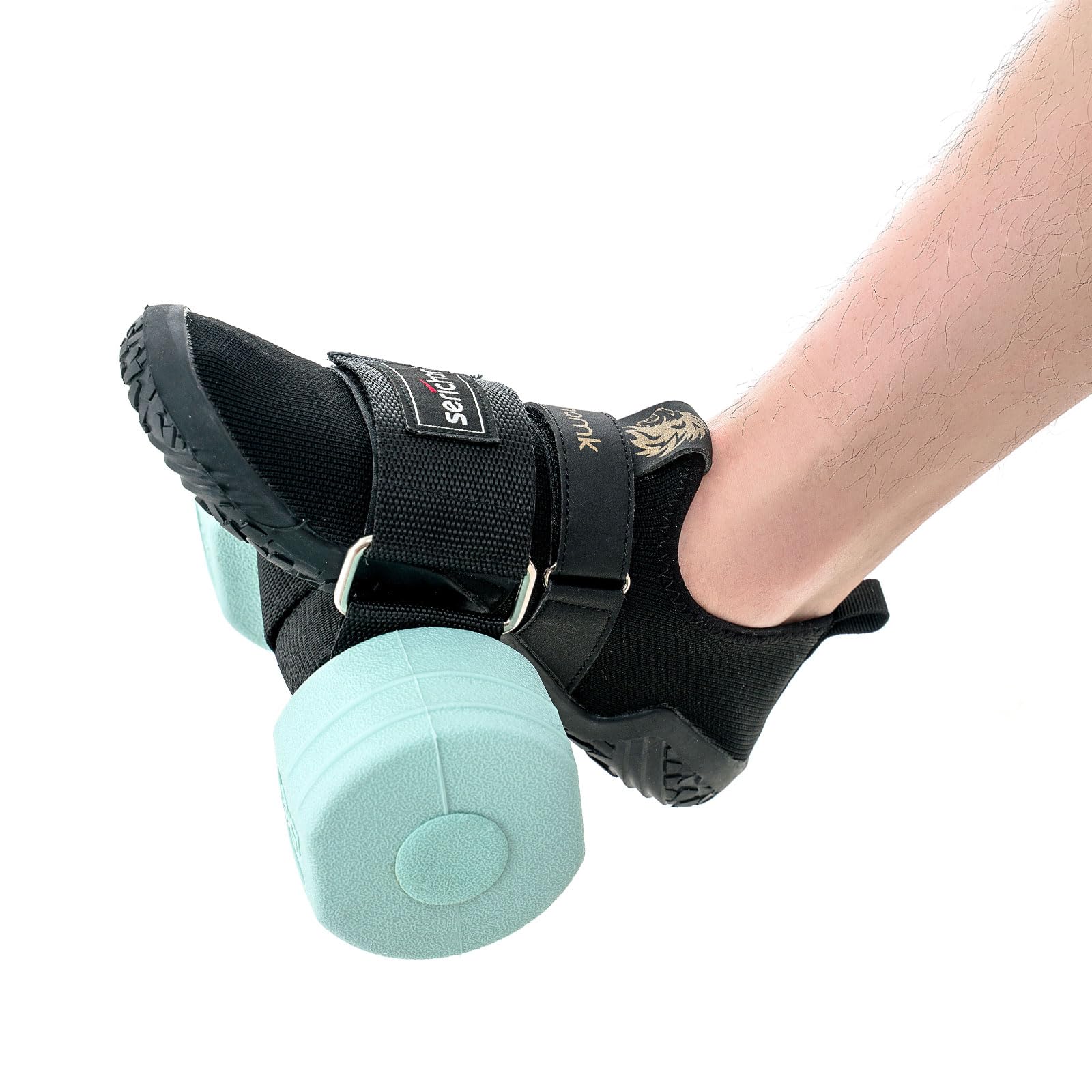 F Fityle Fixation d'haltères pour Pieds, Sangles de Cheville d'entraîneur de Tibialis pour l'haltérophilie des Pieds, Boucles des ischio-jambiers, équipement, 2 pièces F Fityle Fixation d'haltères pour Pieds, Sangles de Cheville d'entraîneur de Tibialis pour l'haltérophilie des Pieds, Boucles des ischio-jambiers, équipement, 2 pièces
