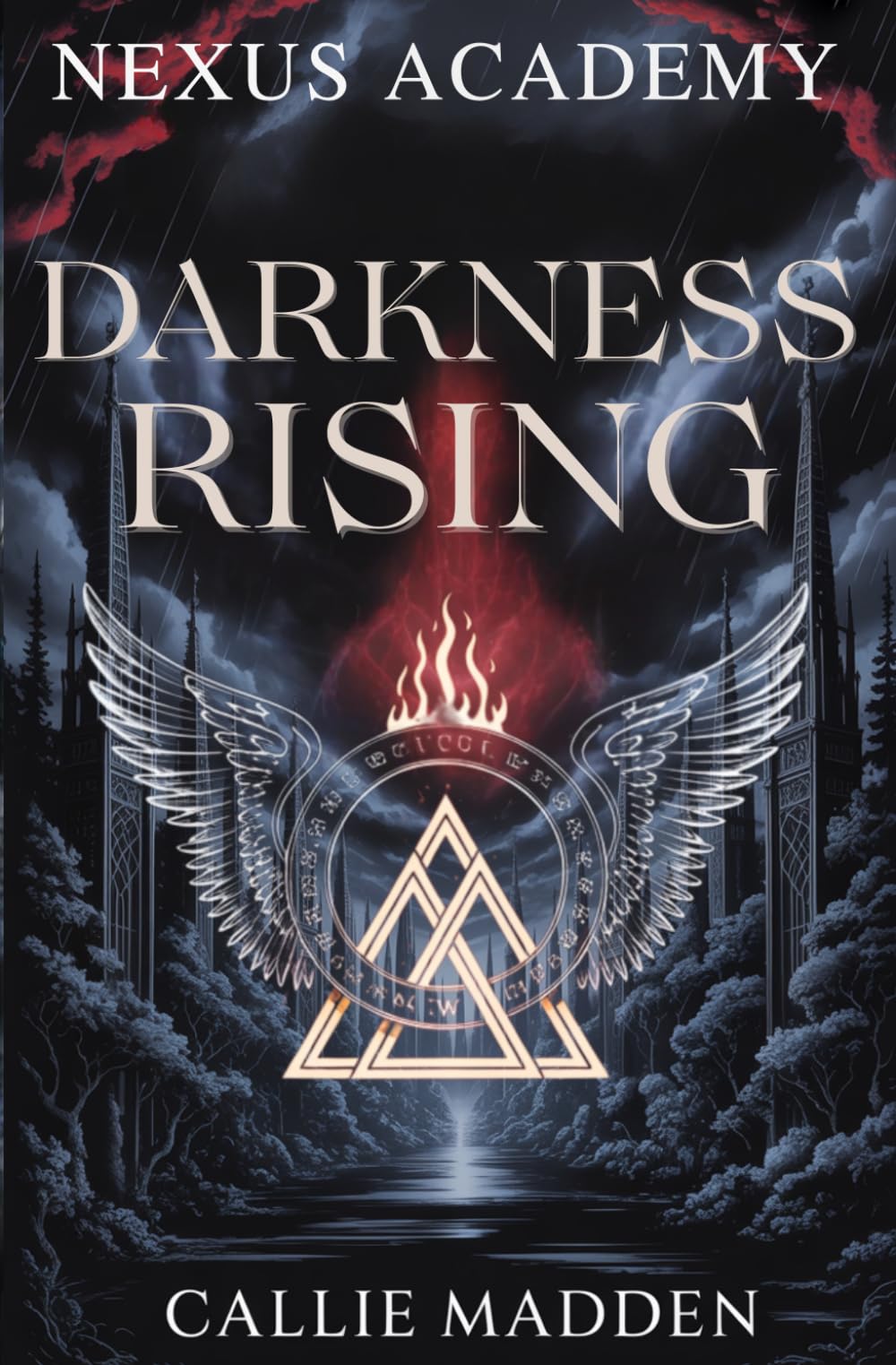 Nexus Academy 2: Darkness Rising