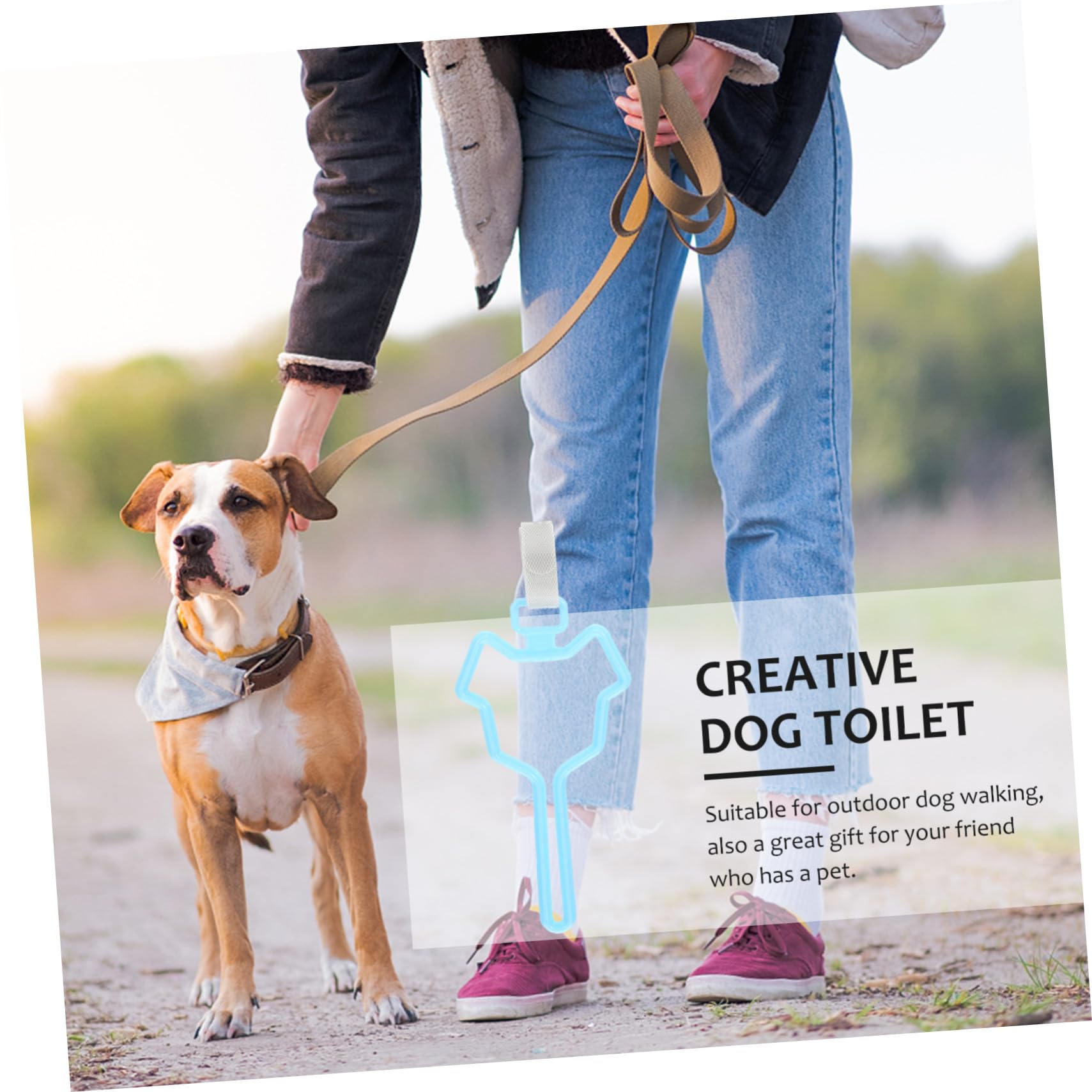 Abaodam 5 pièces Distributeur Sacs Déjections Chien avec Clip Fixation pour Laisse Support Multi-usage Couleurs Assorties Rouge Bleu Vert Gris