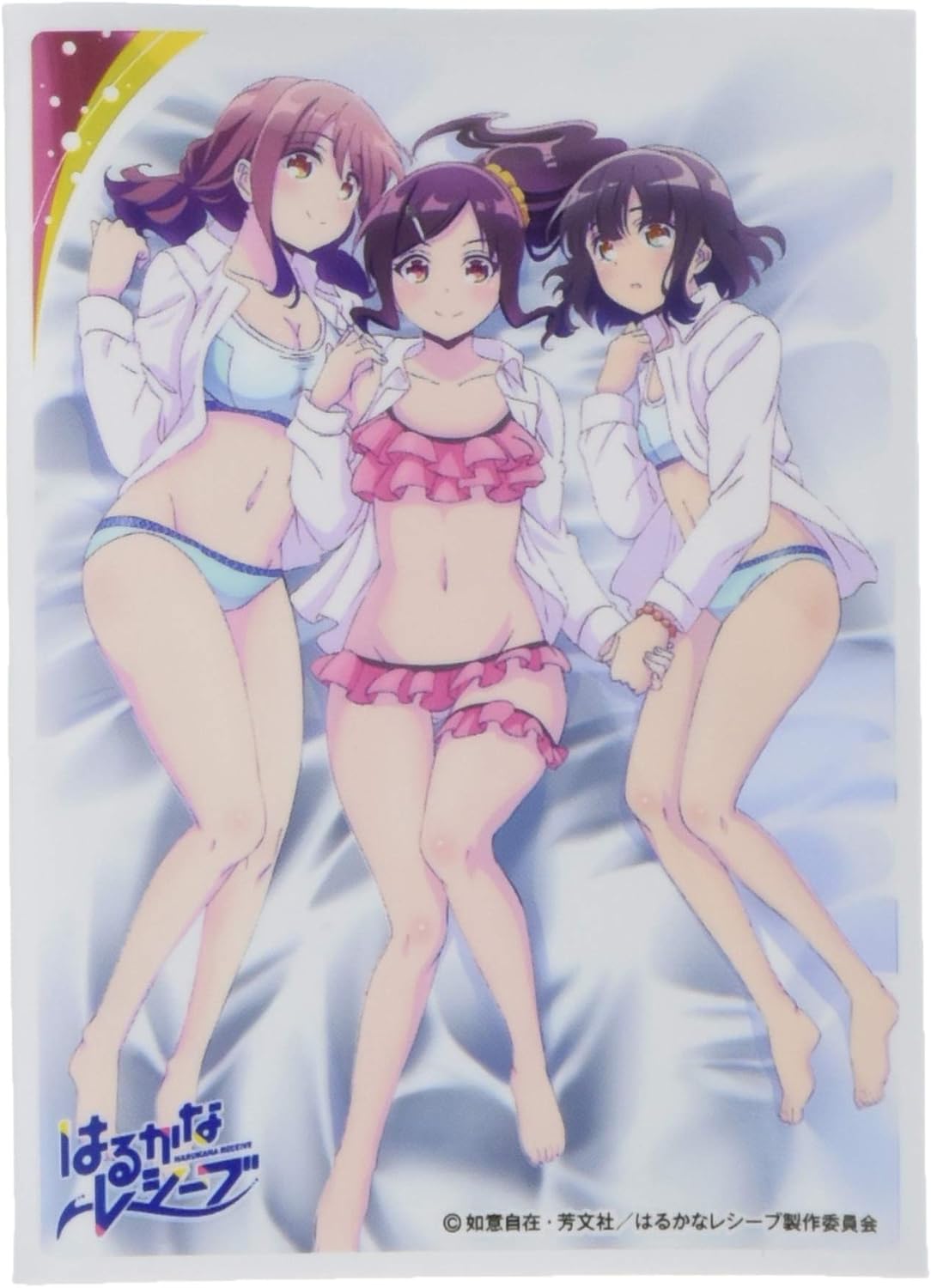 Amazon エンスカイ キャラクタースリーブ はるかなレシーブ 遥 あかり かなた En 6 トレカ 通販 Amazon エンスカイ キャラクタースリーブ はるかなレシーブ 遥 あかり かなた En 6 トレカ 通販