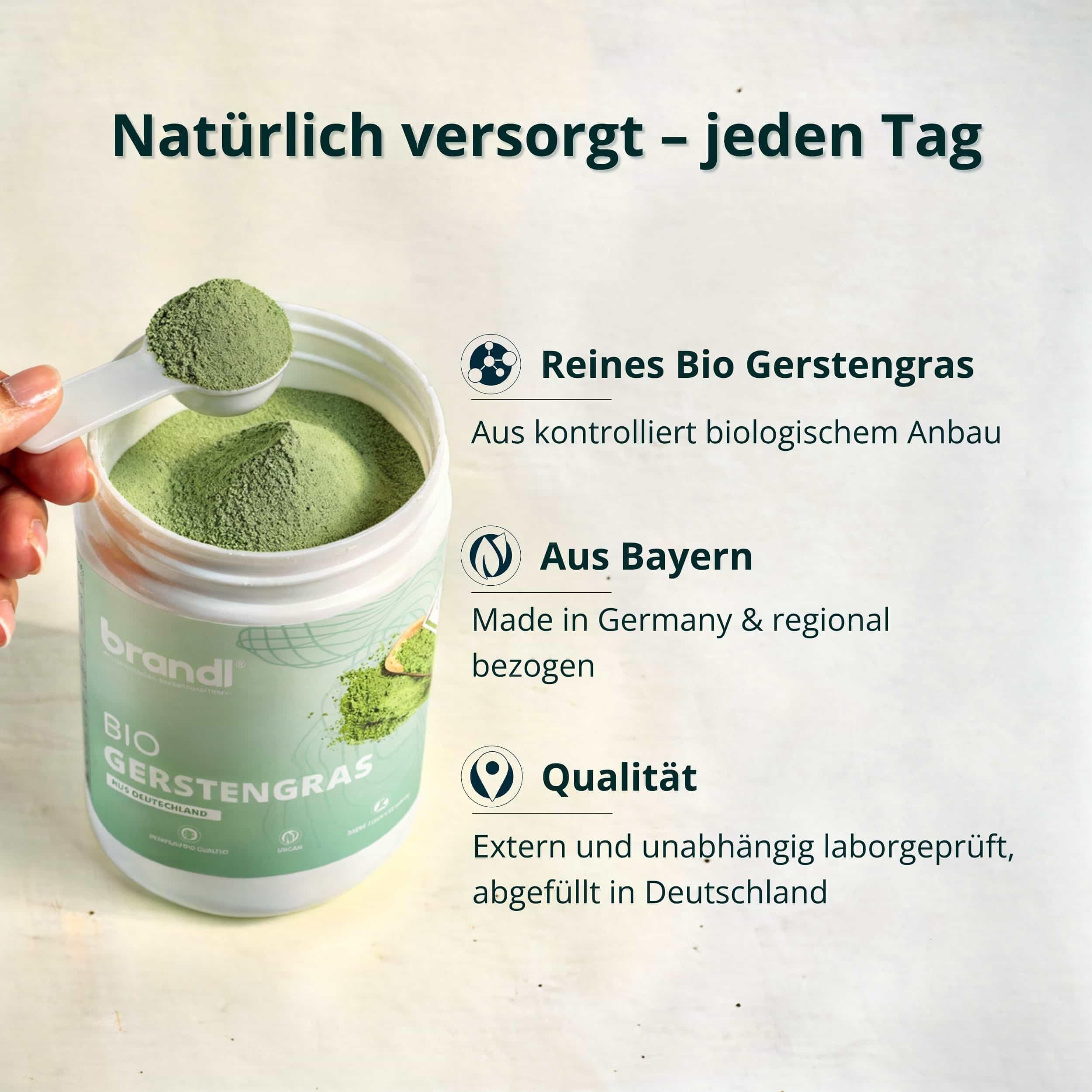Gerstengraspulver BIO - natürliches Gerstengras Premiumqualität - optimal für Sportler, Rohkost-Qualität aus Bayern und abgefüllt in Deutschland, laborgeprüft - 500g Bio Gerstengras Pulver by brandl®