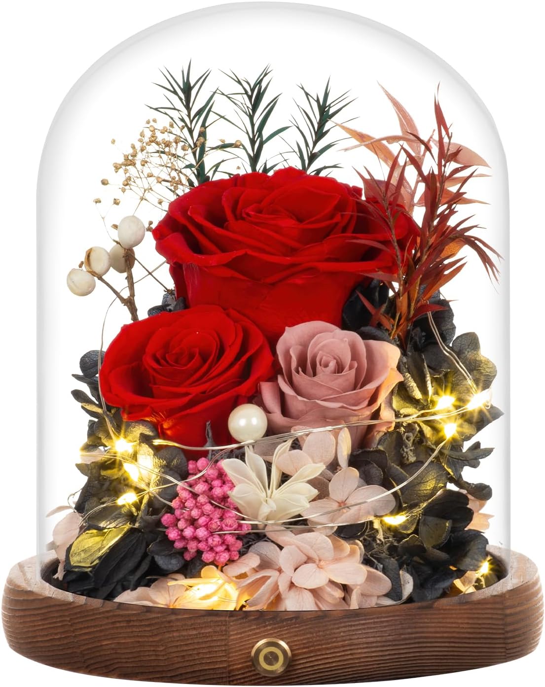 Large Preserved Flowers with Card&Box-Flowers for Delivery Prime,Eternal Rose with Lights,Roses in Glass Dome,Romantic Gift for Her,Decoration, Fresh Rose Flowers for Mom, Birthday, Anniversary (Red)
