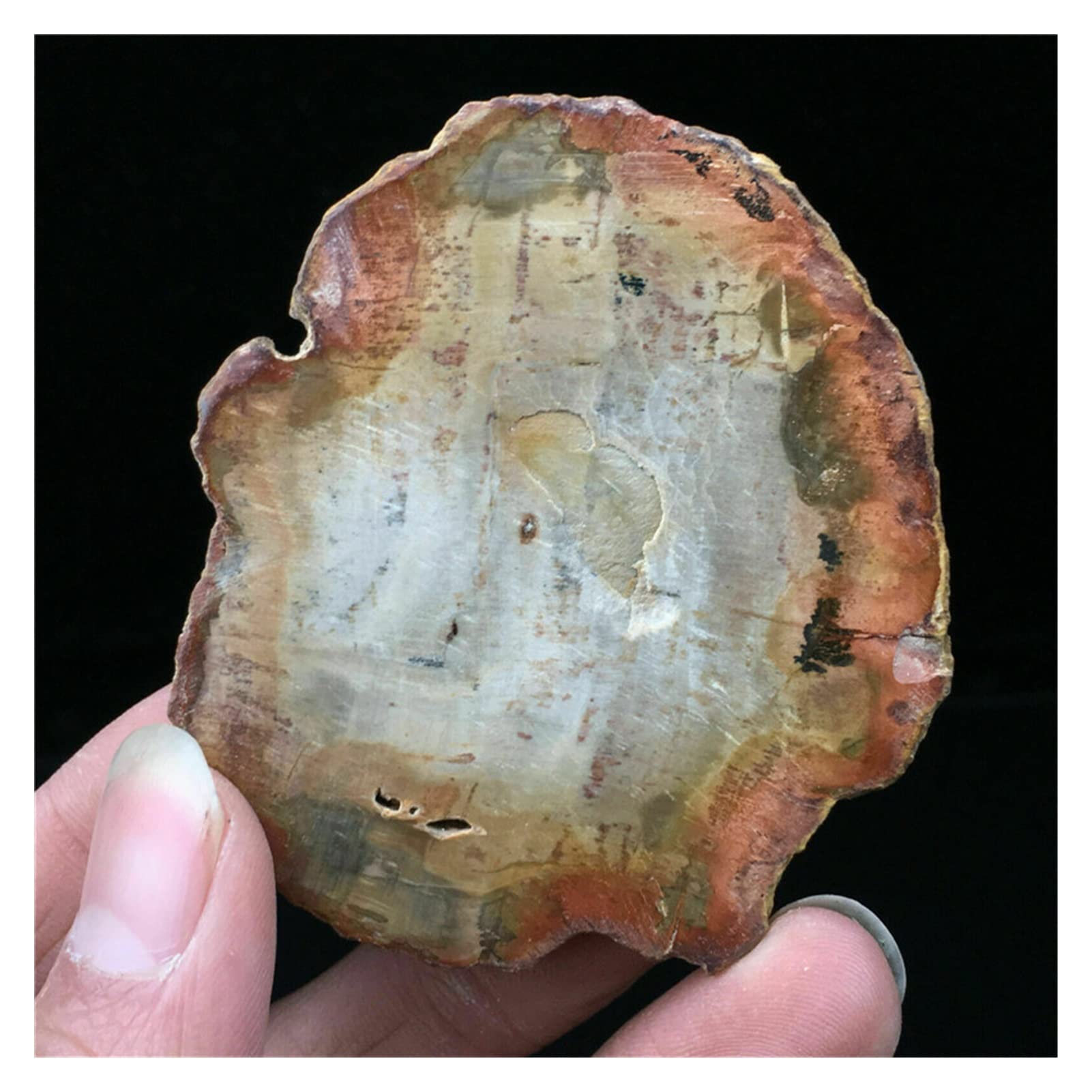 AAKOMA Cristallo Naturale Grezza Naturale Microsezione levigata Pietra pietrificata Cristallo di Quarzo Regalo Guarigione 1pc