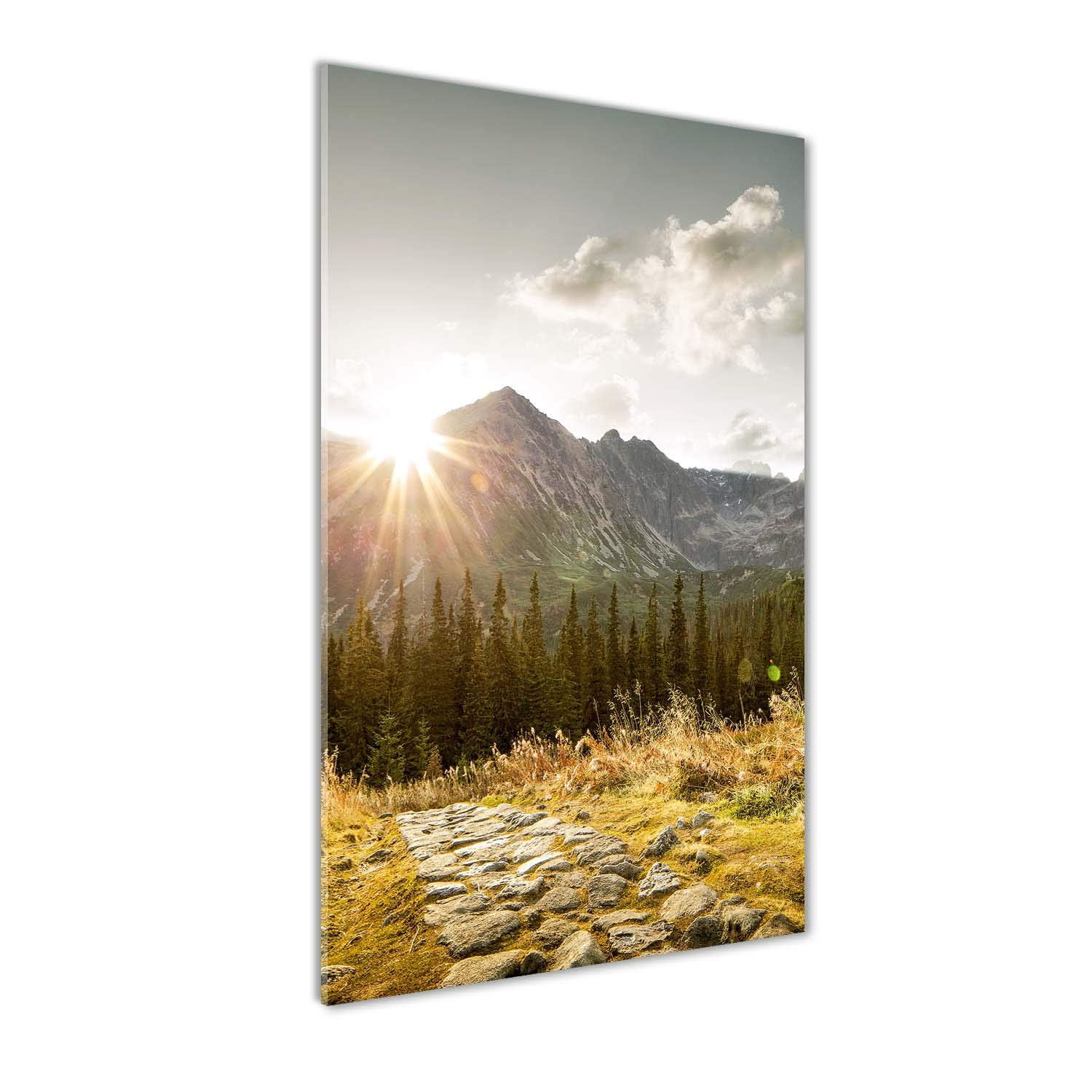 Peinture sur verre trempé 70x140cm tableau mural lumineux jaune