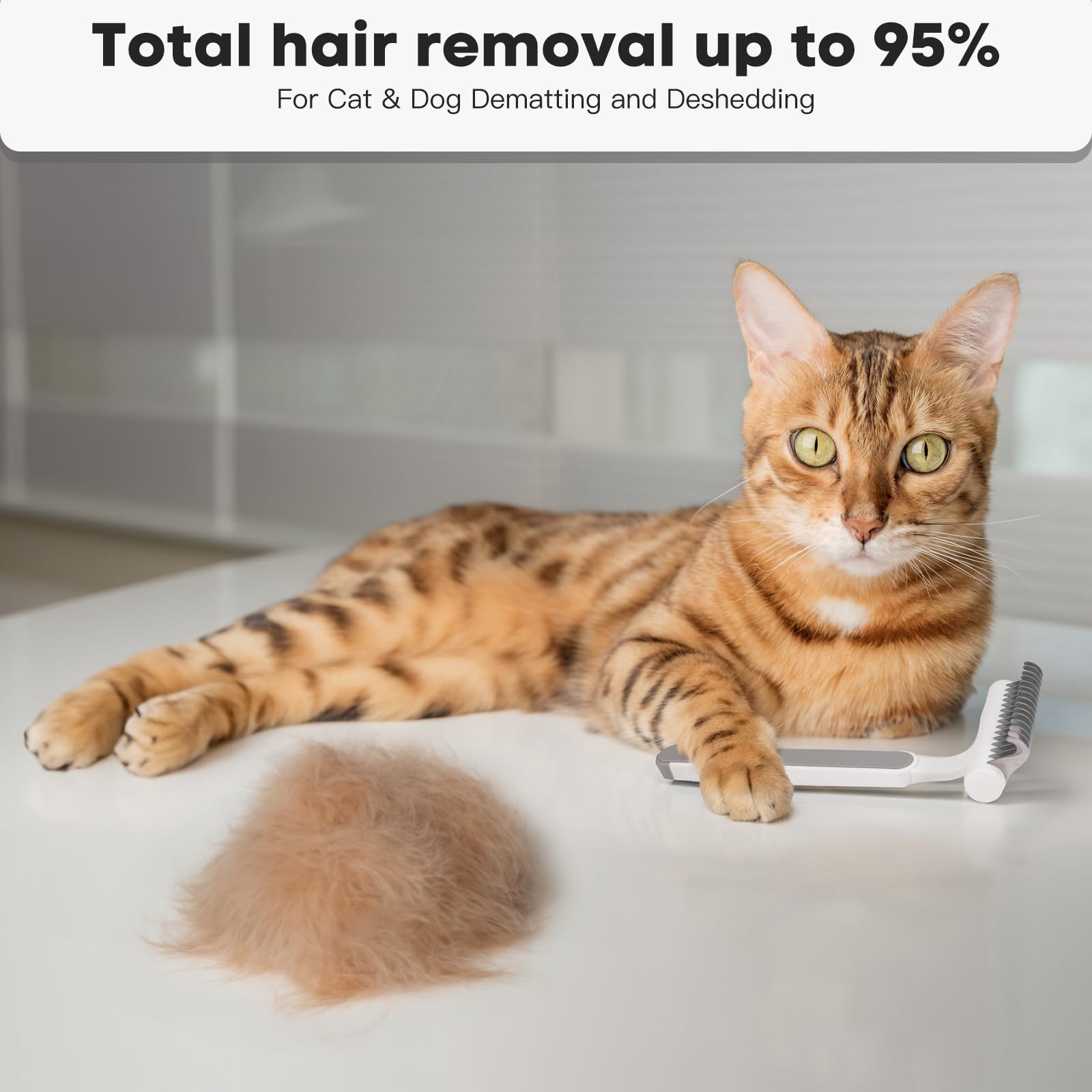 Cepillo de gato para gatos de pelo largo, cepillos para gatos de interior, aseo y desprendimiento, cepillo para desenredar gatos, peine para quitar el pelo suelto y el pelo mate, rastrillo de aseo de