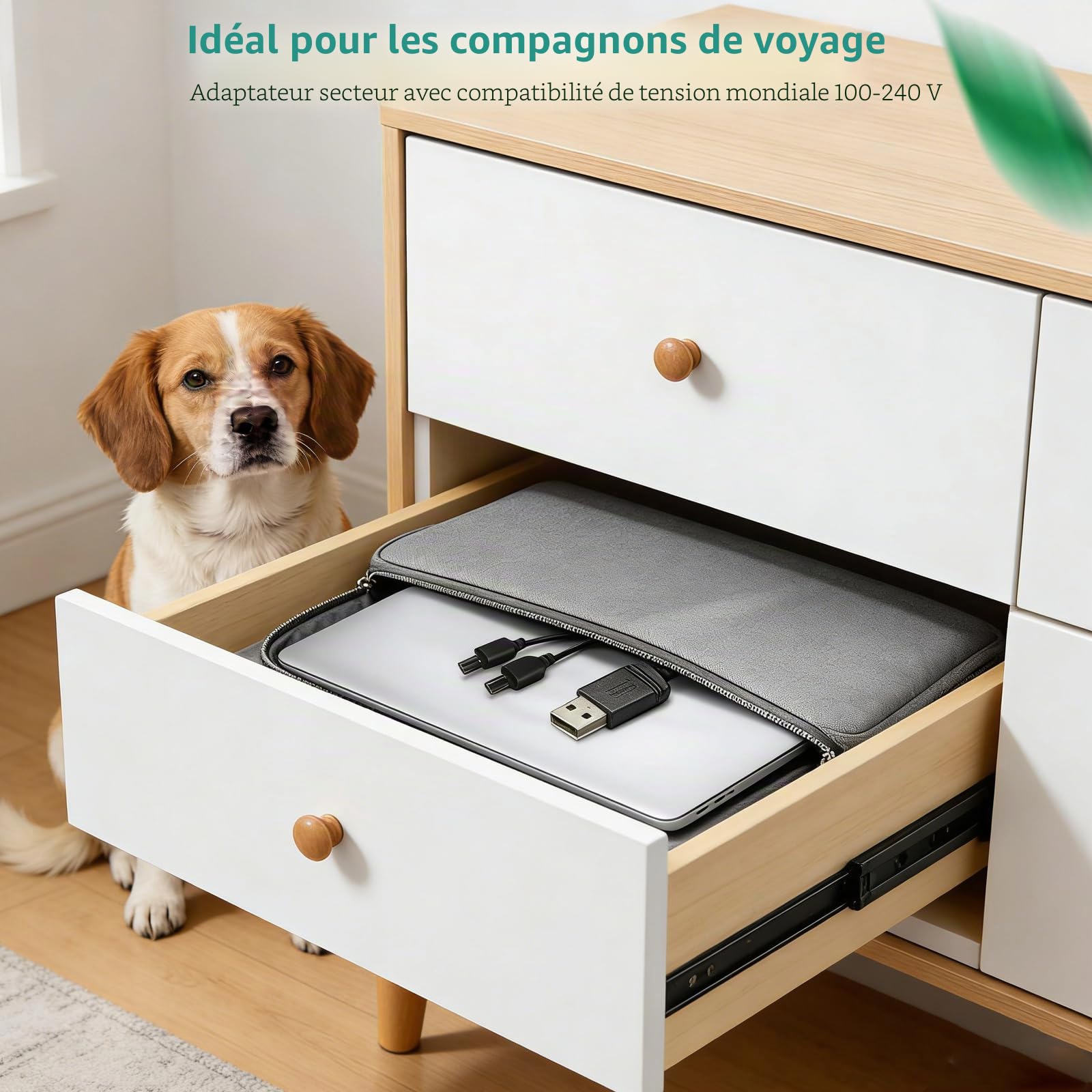 Lnauy Câble d'alimentation de rechange pour collier Petsafe, Chargeur Collier Chien, câble d'alimentation compatible avec PetSafe Remote Trainer et Lite Remote Trainer 100/300/600 et 800 m