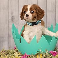 Vista 193 de Aring Pet Collar de algodón, ligero y ajustable, con hebilla de liberación rápida para perros pequeños, medianos y grandes, para cachorros, XS