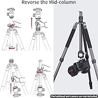 Vista 5 de Trípode de Fibra de Carbono - INNOREL RT75C Sin Cabeza de Bola Trípode Super Profesional Monopié Resistente Trípode Compacto Soporte de Stand