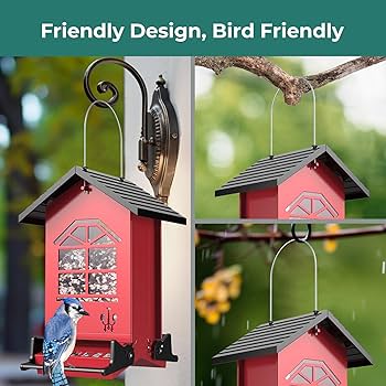 Mangeoire à Oiseaux Anti-écureuils Pour L'extérieur