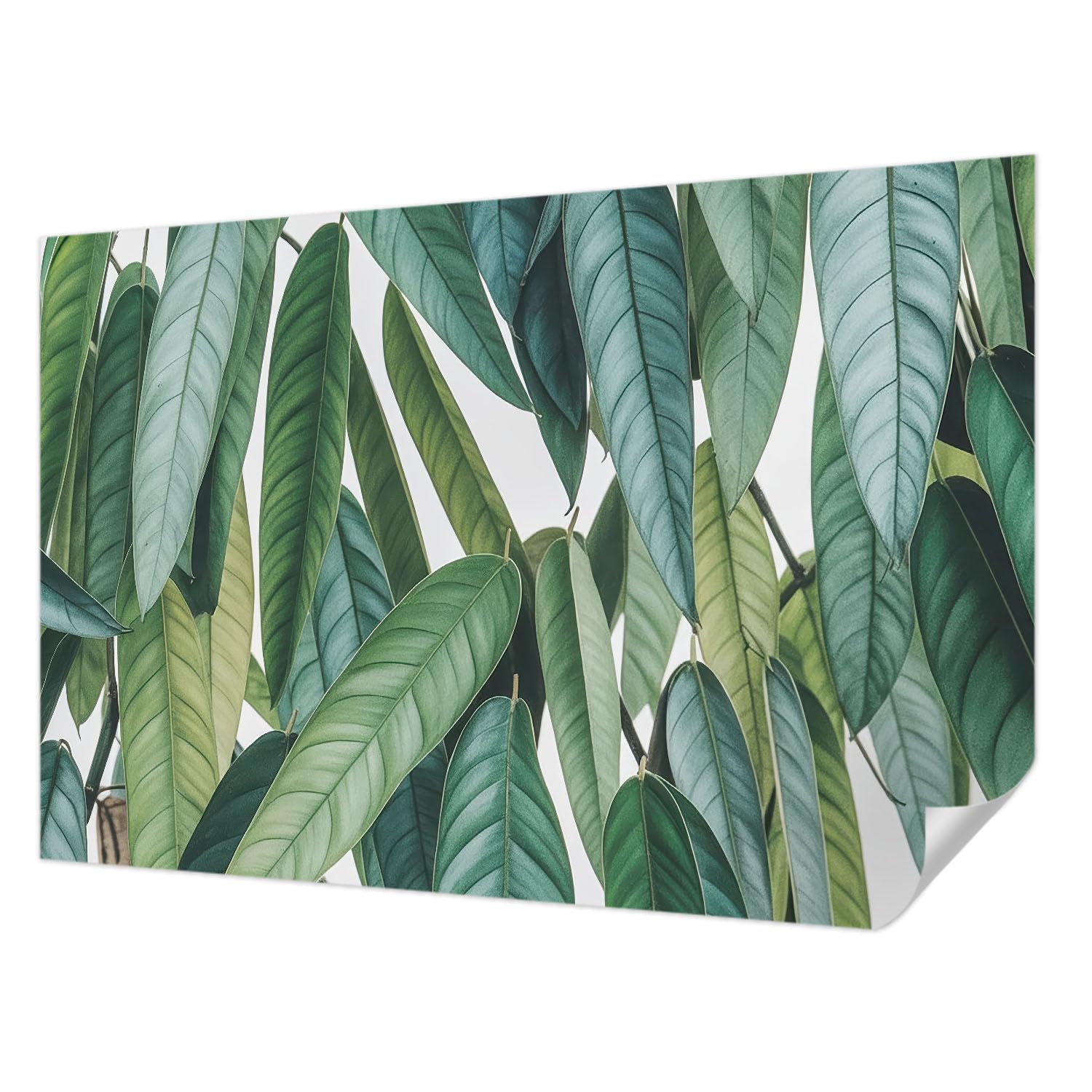 Papier peint autocollant anti-tache Tulup 104x70 pour rénover facilement un mur abîmé
