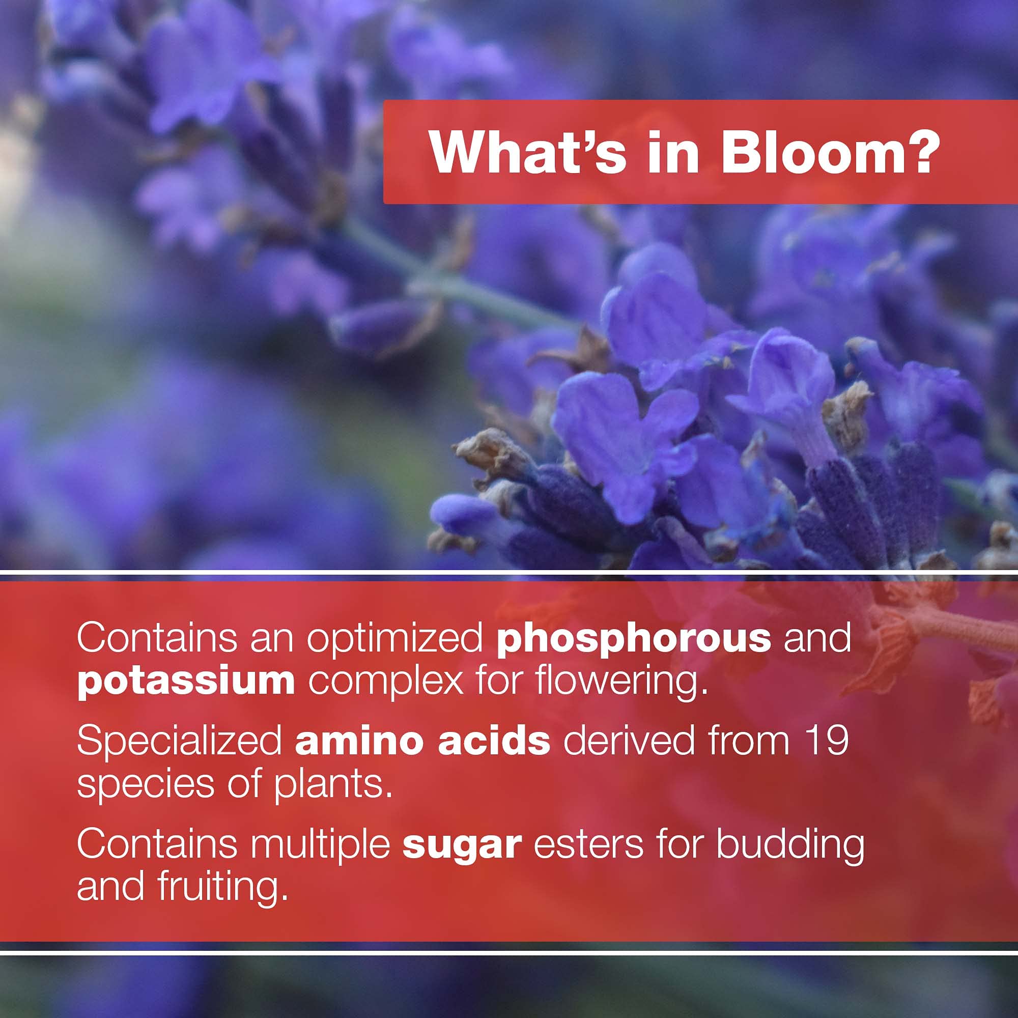 Bloom Bud Builder & Flower Hardener Plant Nutrient and Supplement