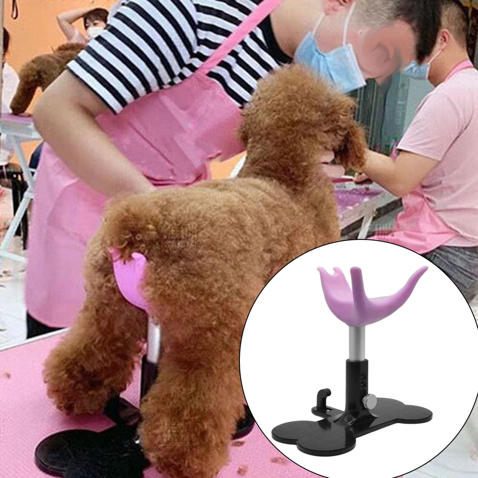 Supporto Fisso Seduta Pettorina per Cani con Altezza Regolabile Piccola Animals Hammock per Toelettatura Piano Appoggio Bagno Accessori, Rosa