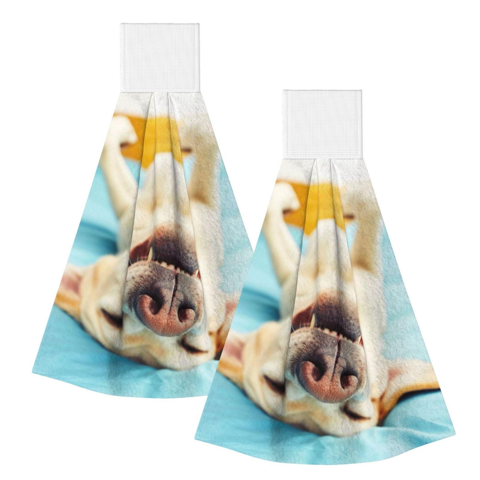 DOPKLNA Sleeping Labrador, 2 Pcs Hanging Coral Fiber Hand Towels for Bathroom, Absorbent Kitchen Towels