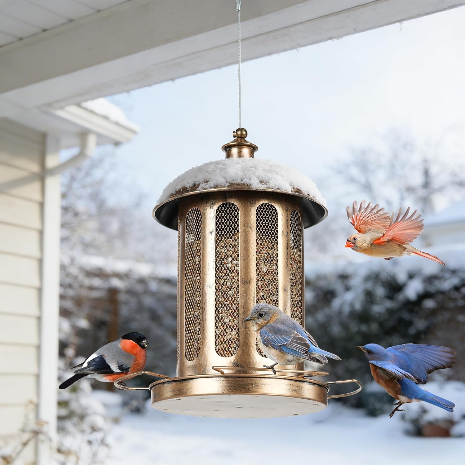 Bird Feeder, Large Capacity Bird Feeders for Outdoor Hanging, Heavy Duty Metal Wild Birdfeeder for Outside Garden Yard Decor, Retro Lantern Shape