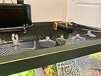 Review Image by Luna Noel Luna Noel