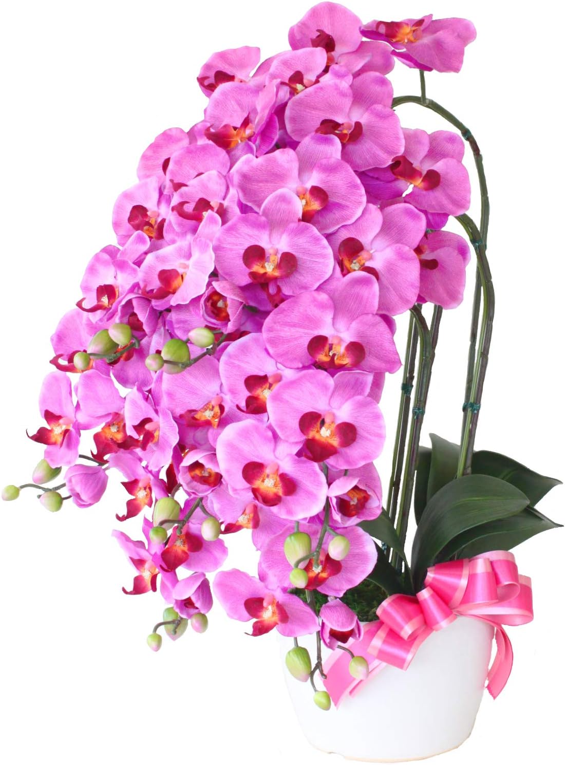 山久 造花 光触媒加工 シルクフラワーの 胡蝶蘭 ラベンダー 7本立 鉢白 常滑陶鉢の鉢植 0811 41 新築祝い 開店祝い ギフト プレゼント 返品送料無料 山久 造花 光触媒加工 シルクフラワーの 胡蝶蘭 ラベンダー 7本立 鉢白 常滑陶鉢の鉢植 0811 41 新築祝い 開店祝い ギフト プレゼント 返品送料無料