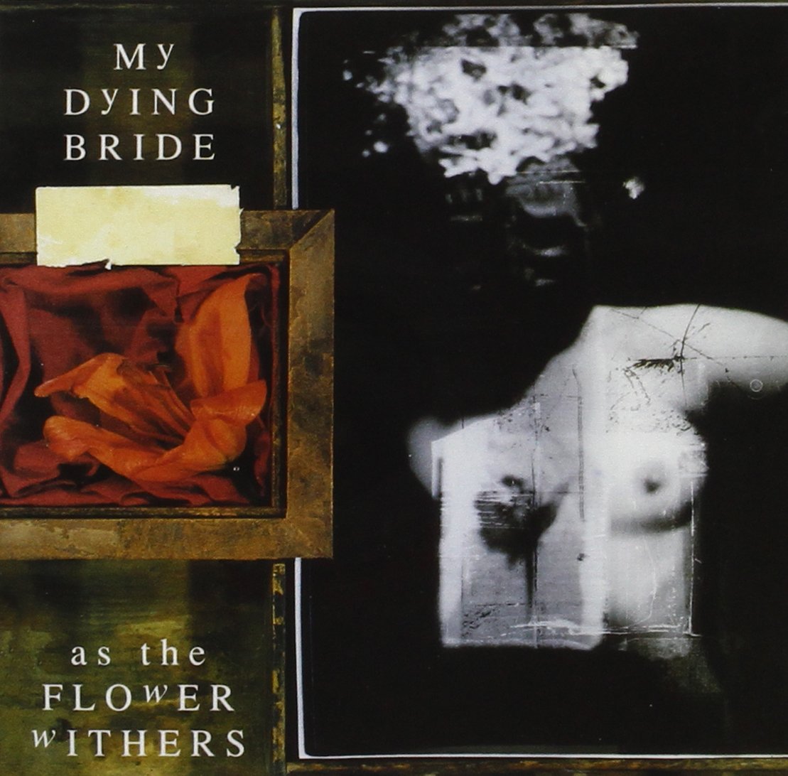 As the Flower Withers CD Album - Used