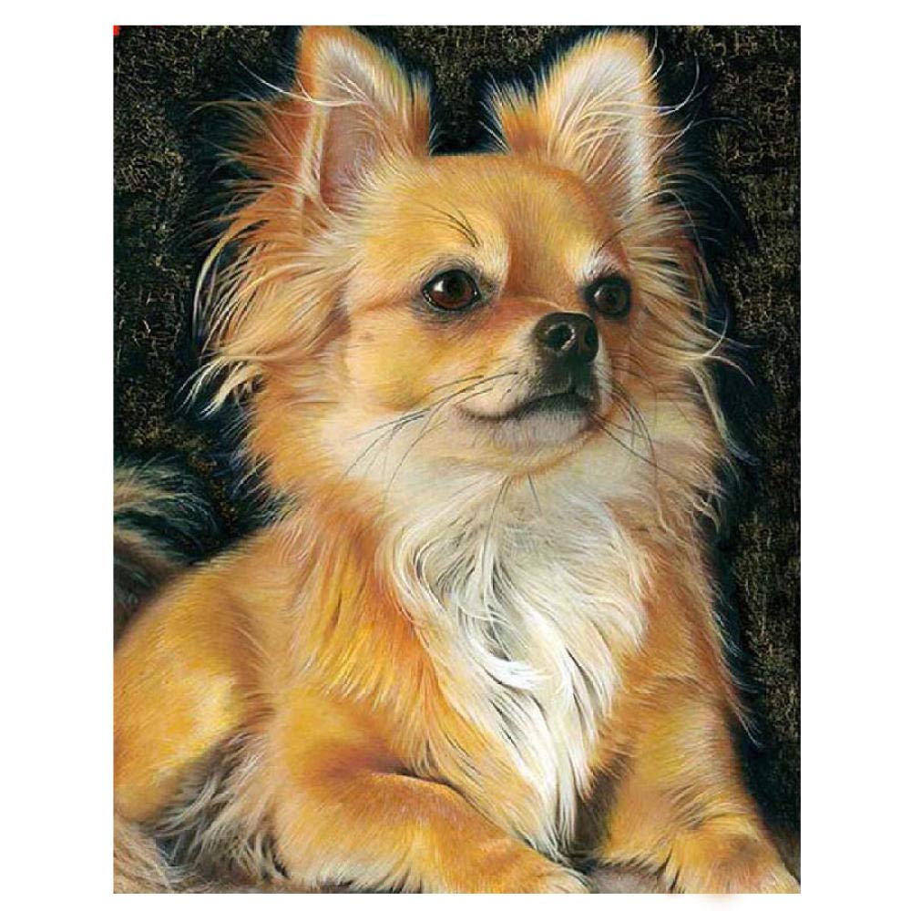 NPRZM Full Drill Diamond 5D DIY Diamond Painting Chihuahua Dog Diamond Embroidery Cross Stitch Kits Painting 40x40CM